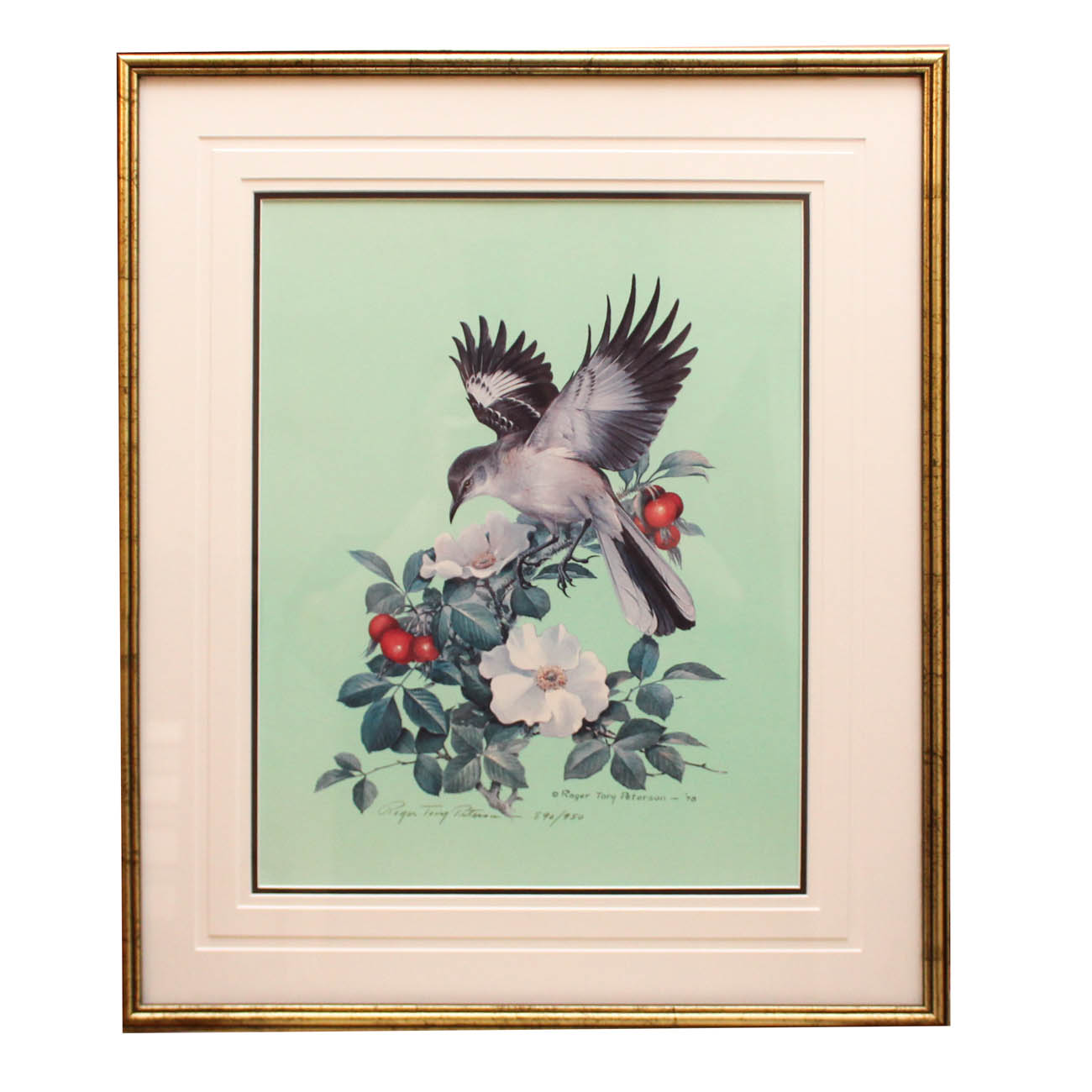 Roger Tory Peterson Limited Edition Offset Lithograph