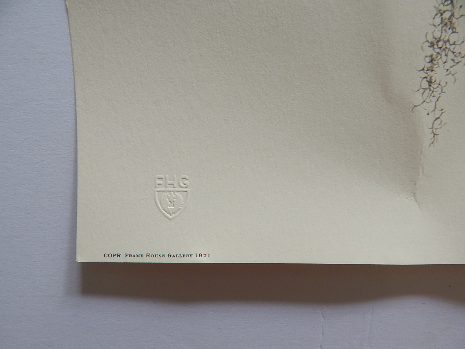 Unframed Guy Coheleach "Ivory-Billed Woodpecker" Offset Lithograph