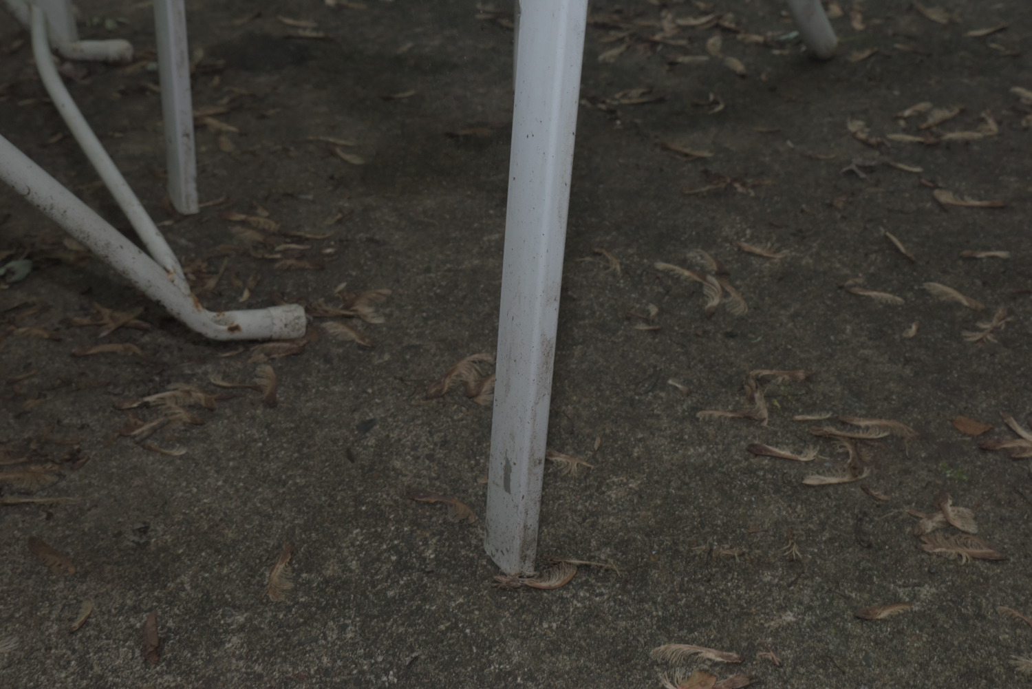 Five-Piece White Metal Patio Set with Seat Cushions