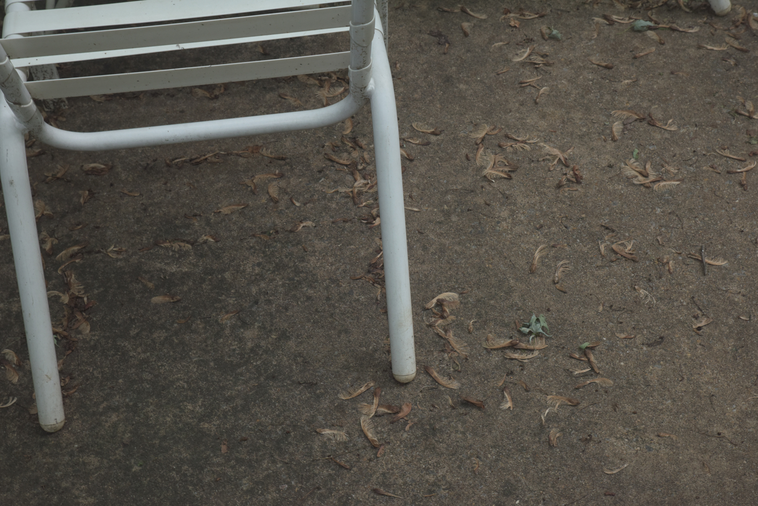 Five-Piece White Metal Patio Set with Seat Cushions