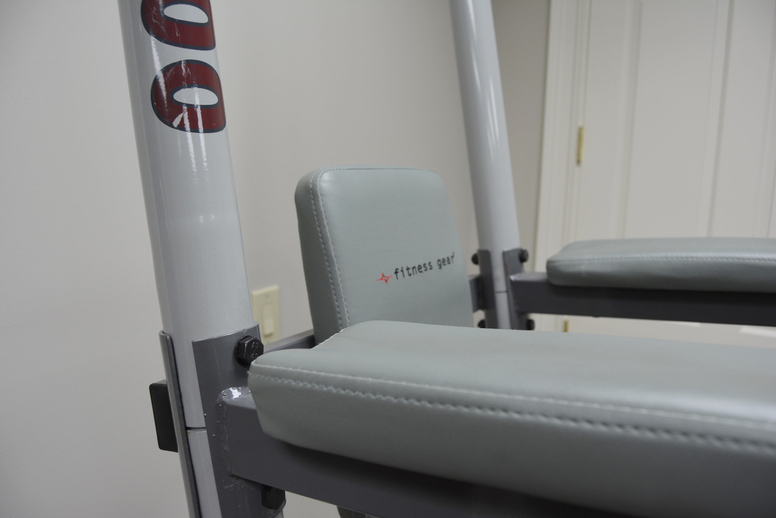 Fitness Gear Power Tower FG800