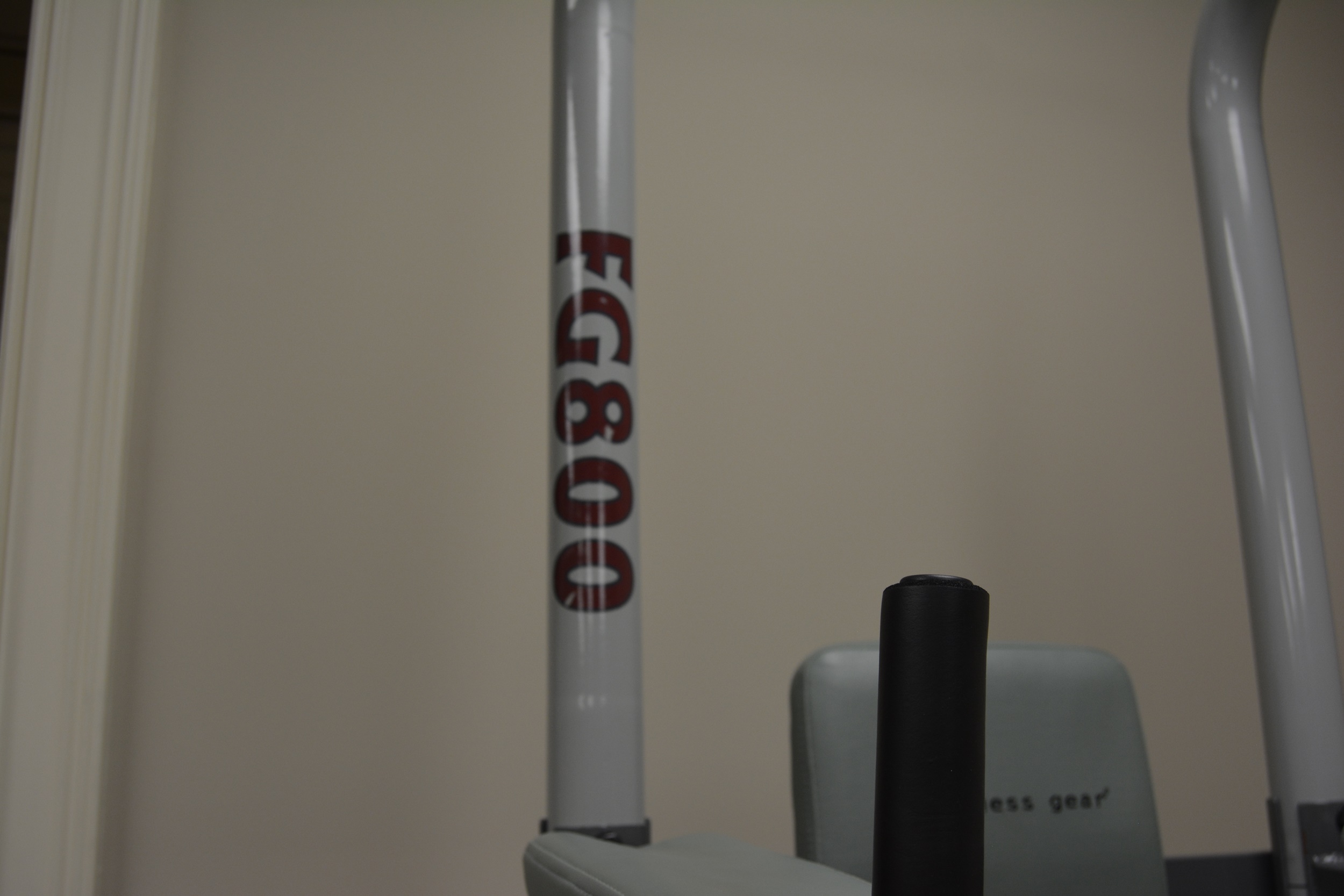 Fitness Gear Power Tower FG800