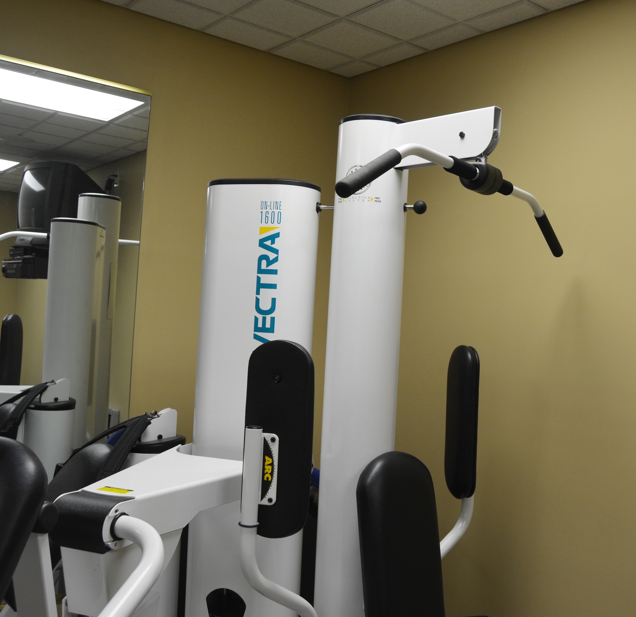 Vectra On-Line 1600 Home Gym