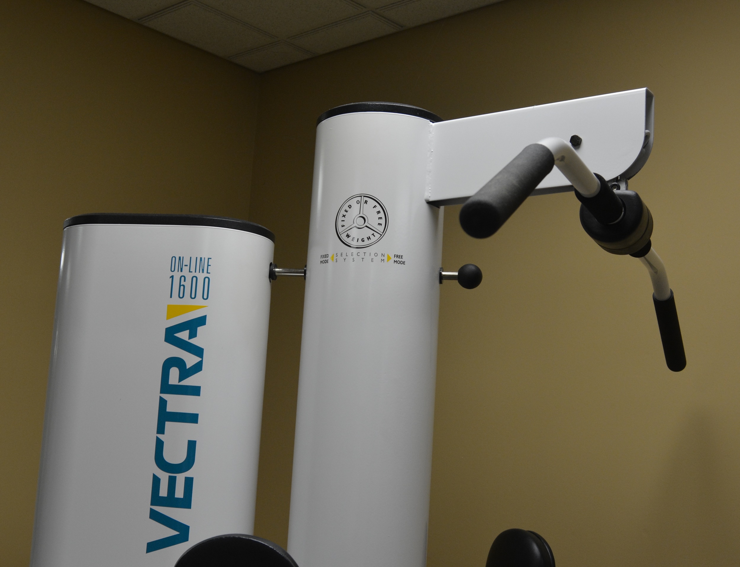 Vectra On-Line 1600 Home Gym