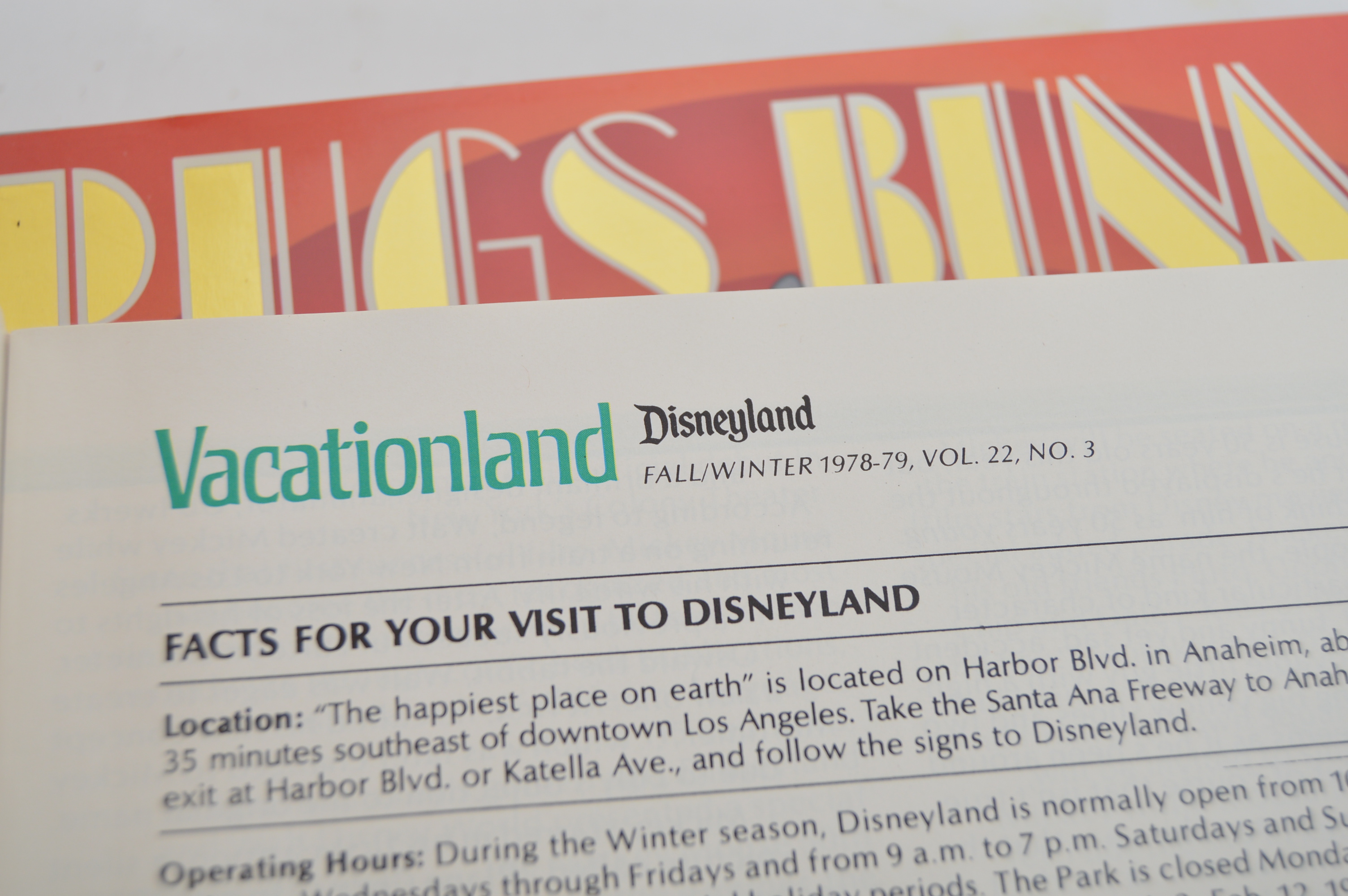 Disney, Bugs Bunny and Tom & Jerry Animation Books with First Edition