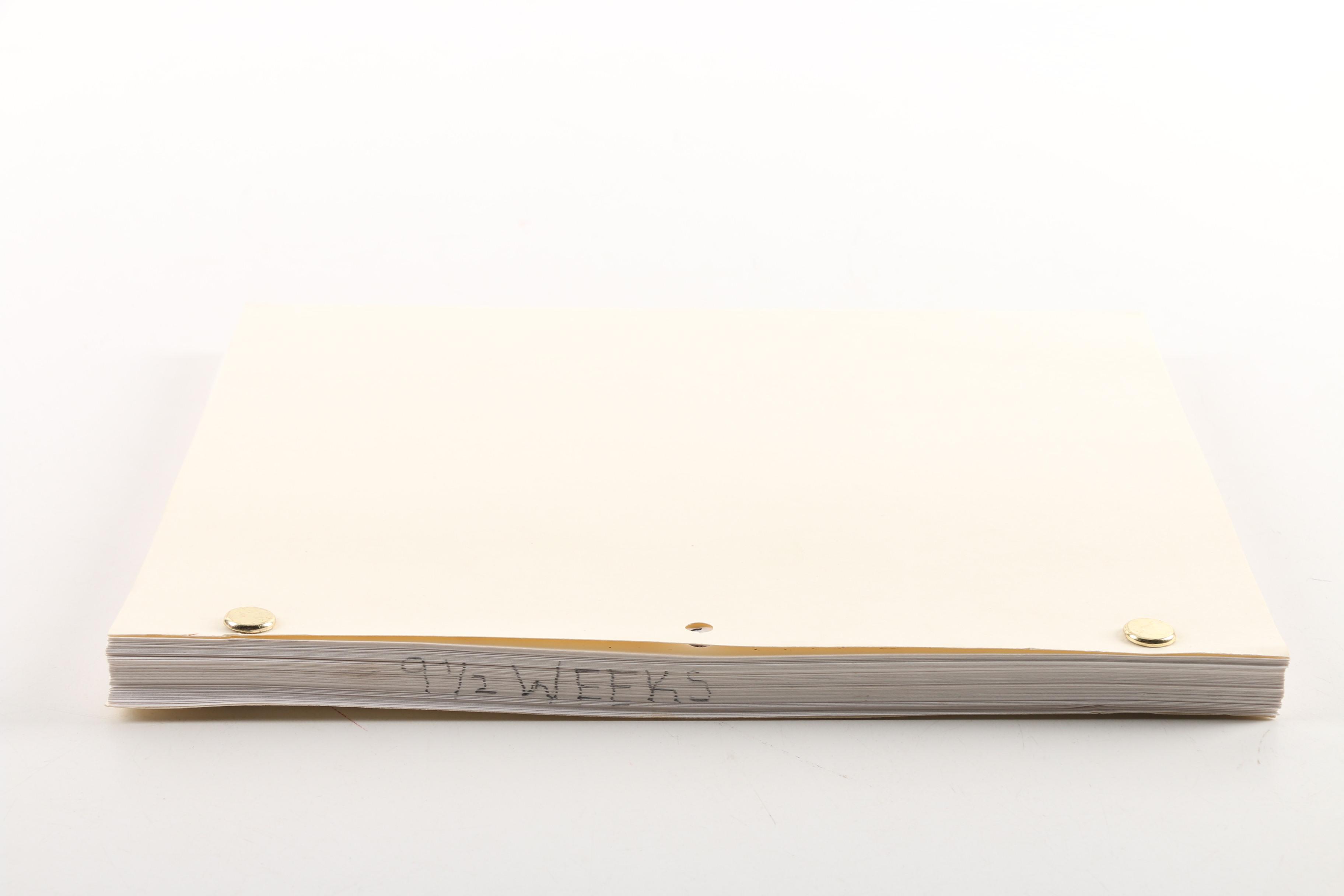 1984 "9½ Weeks" Film Screenplay