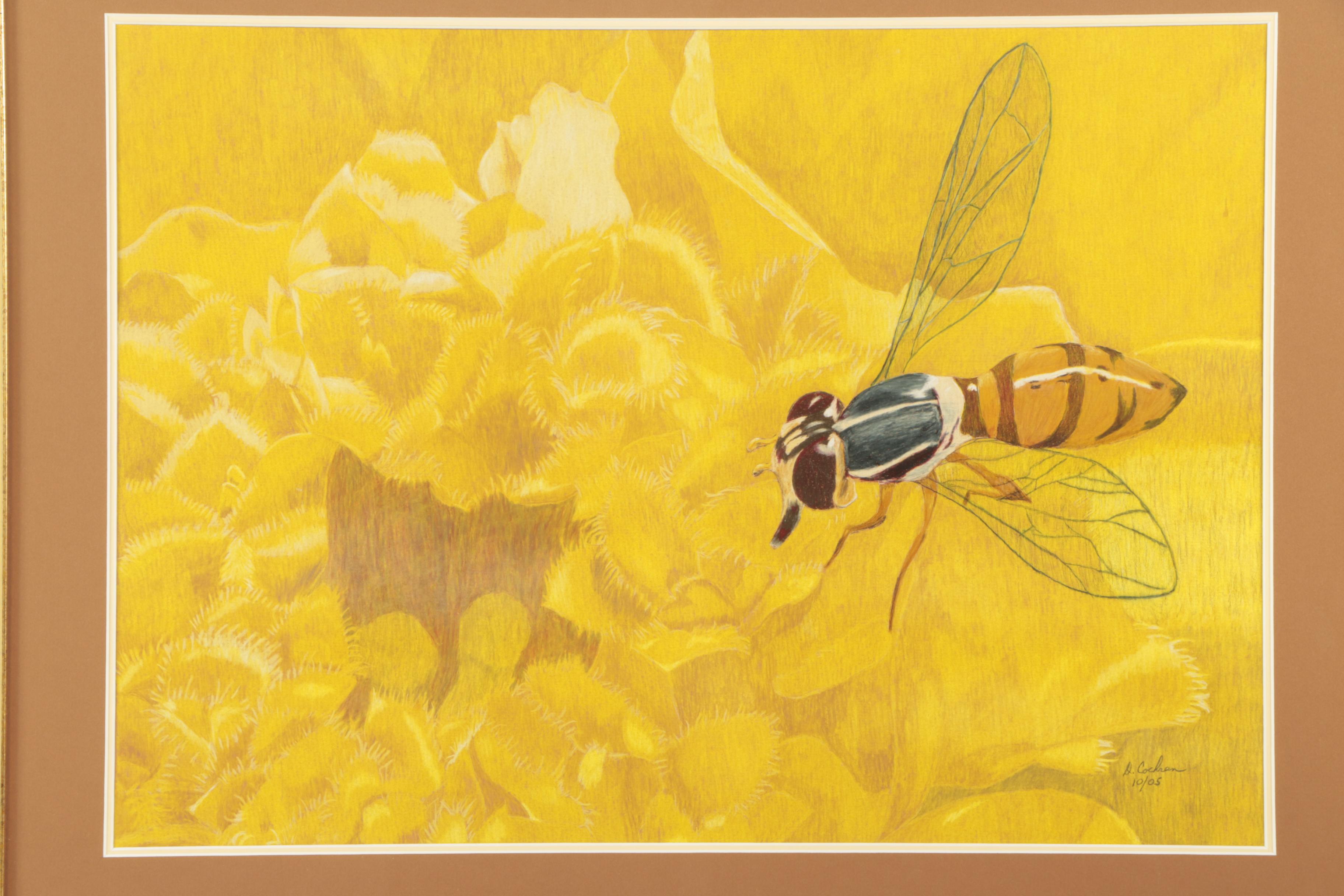 David Cochran 2005 Colored Pencil Drawing