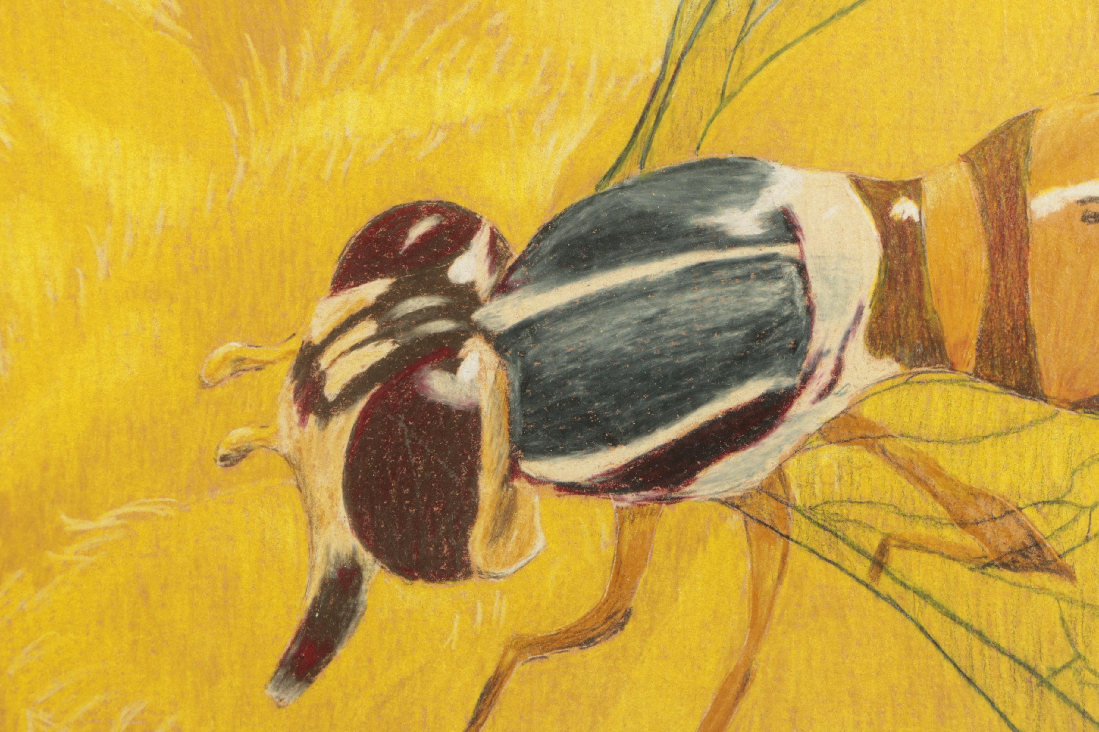 David Cochran 2005 Colored Pencil Drawing