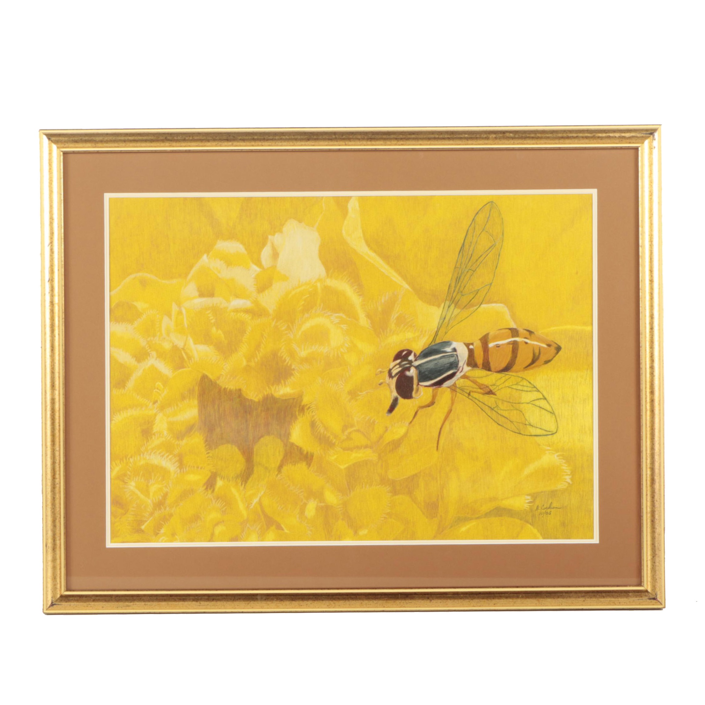 David Cochran 2005 Colored Pencil Drawing