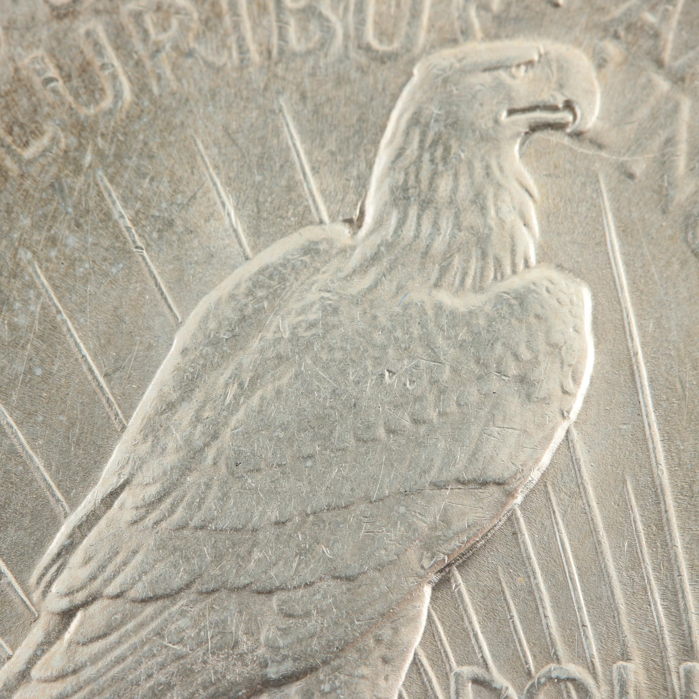 1924 Peace Silver Dollar