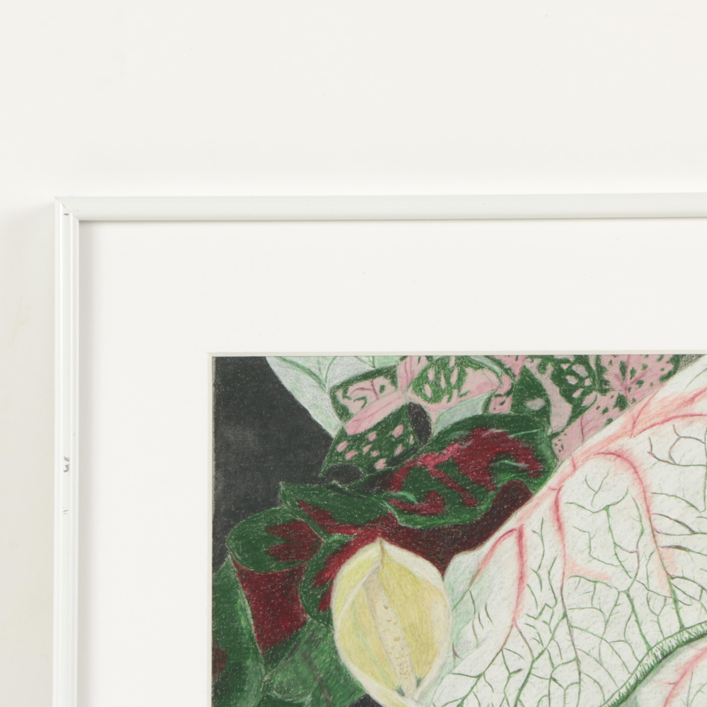 David Cochran 2015 Colored Pencil Drawing "Caladiums"
