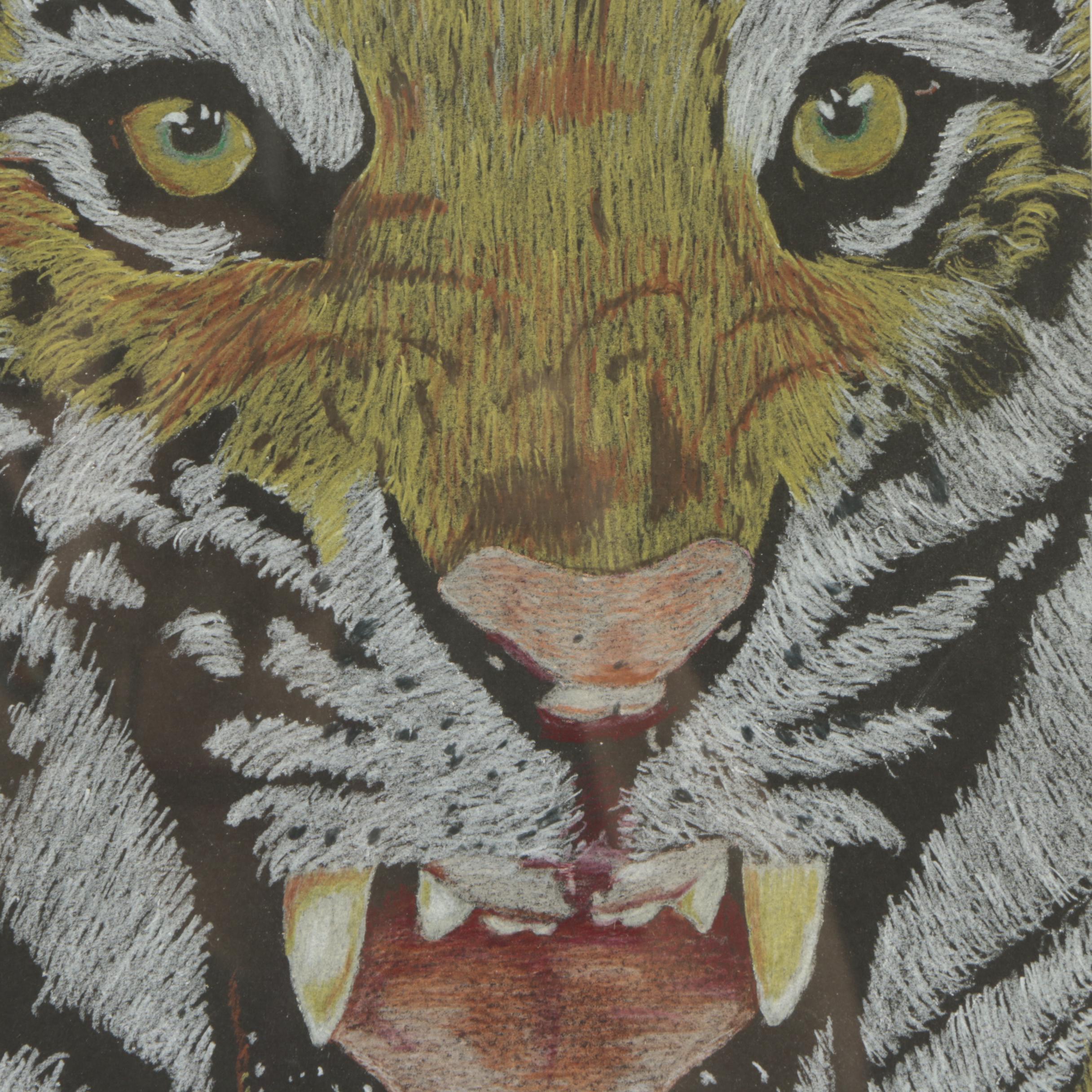 David Cochran 2015 Colored Pencil Drawing "Burning Bright"