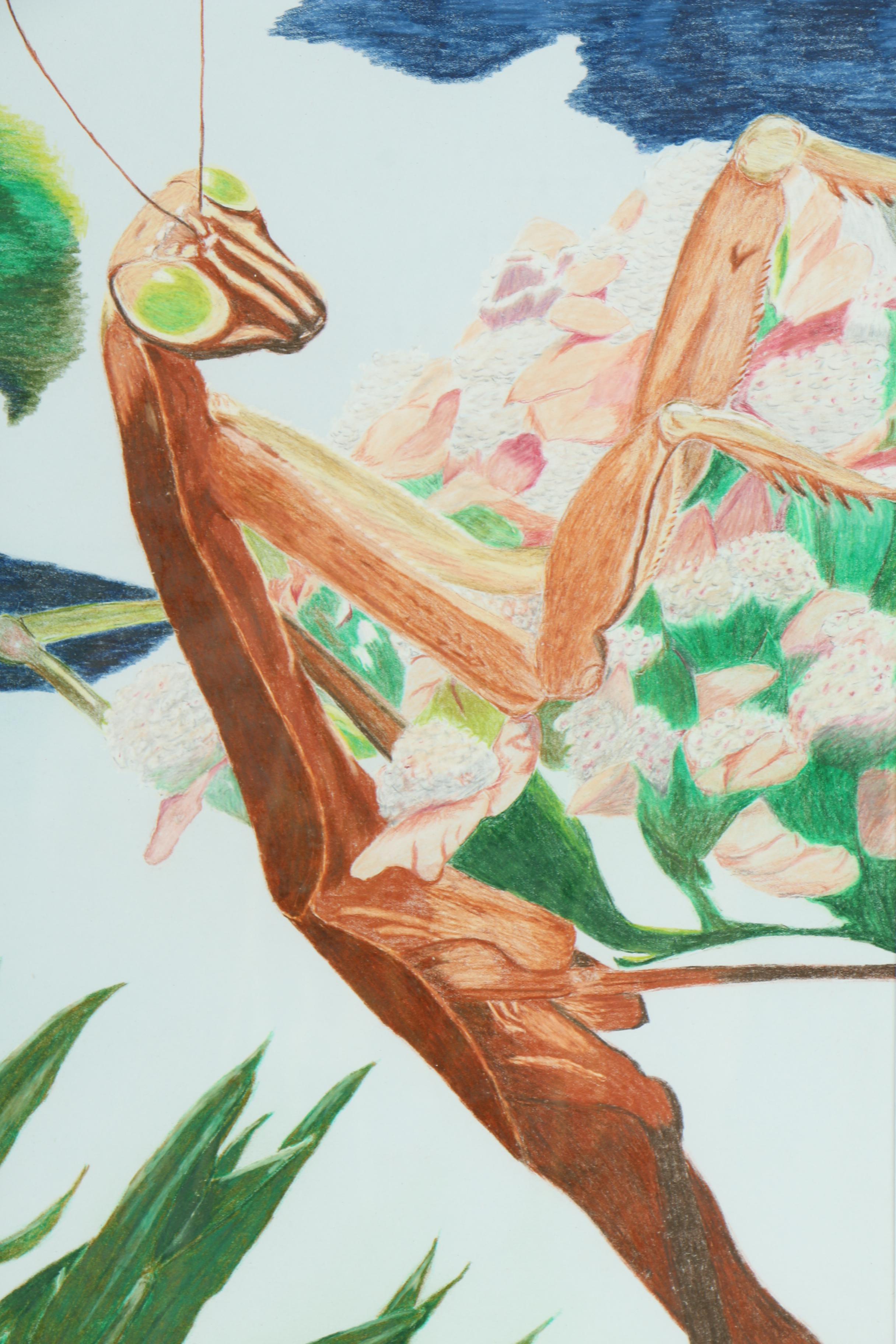 David Cochran Colored Pencil Drawing "The Hunter"