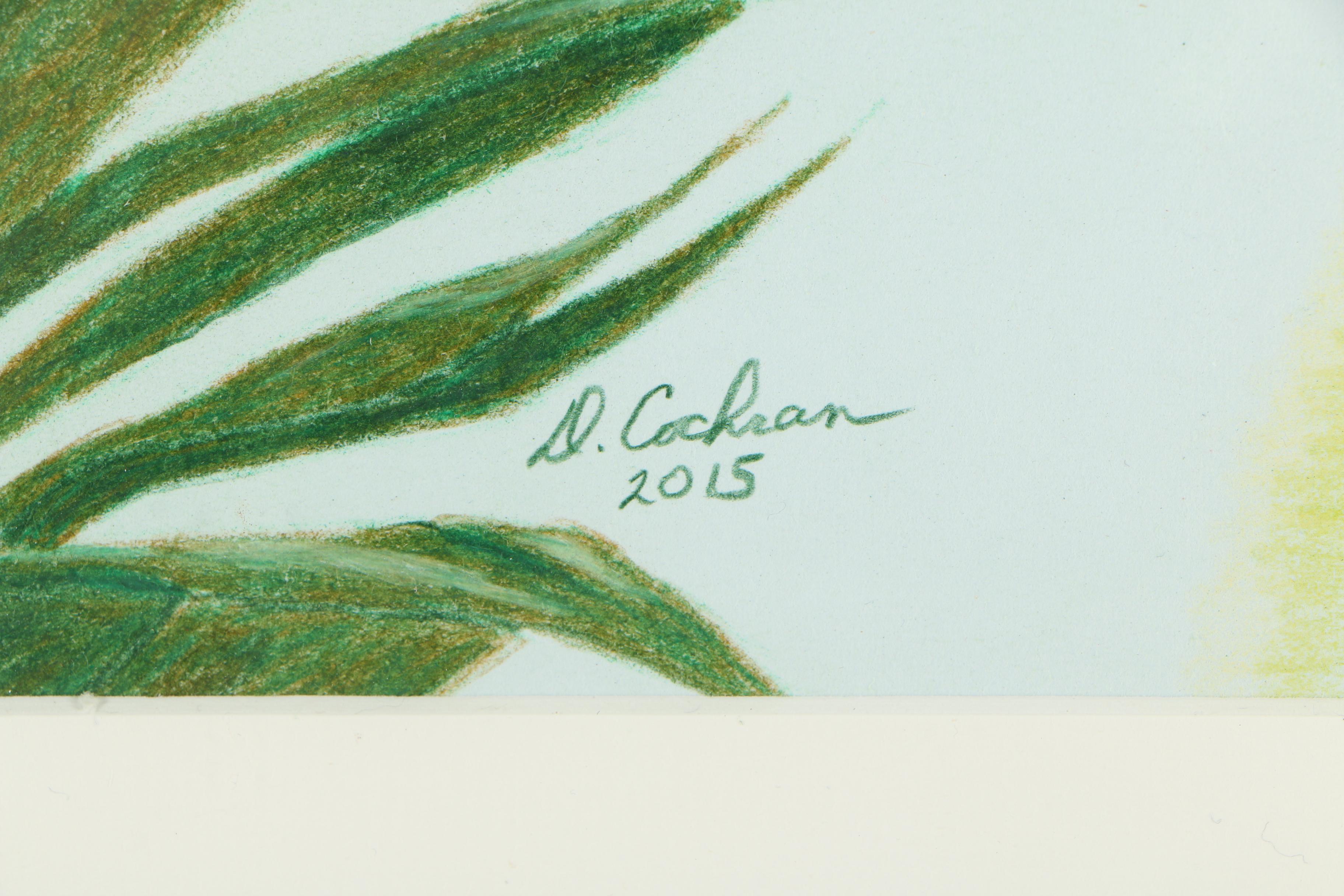 David Cochran Colored Pencil Drawing "The Hunter"