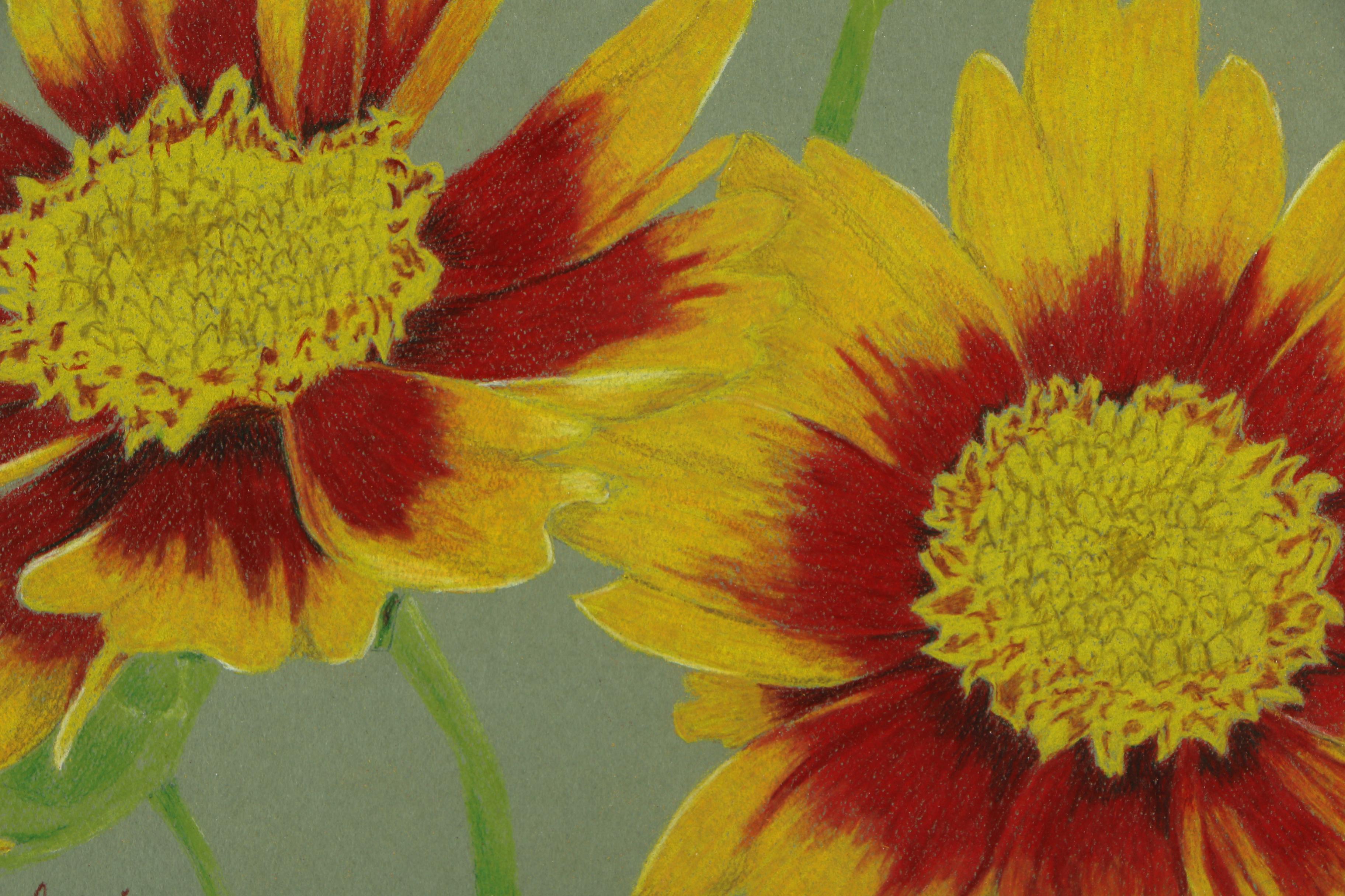 David Cochran Colored Pencil Drawings