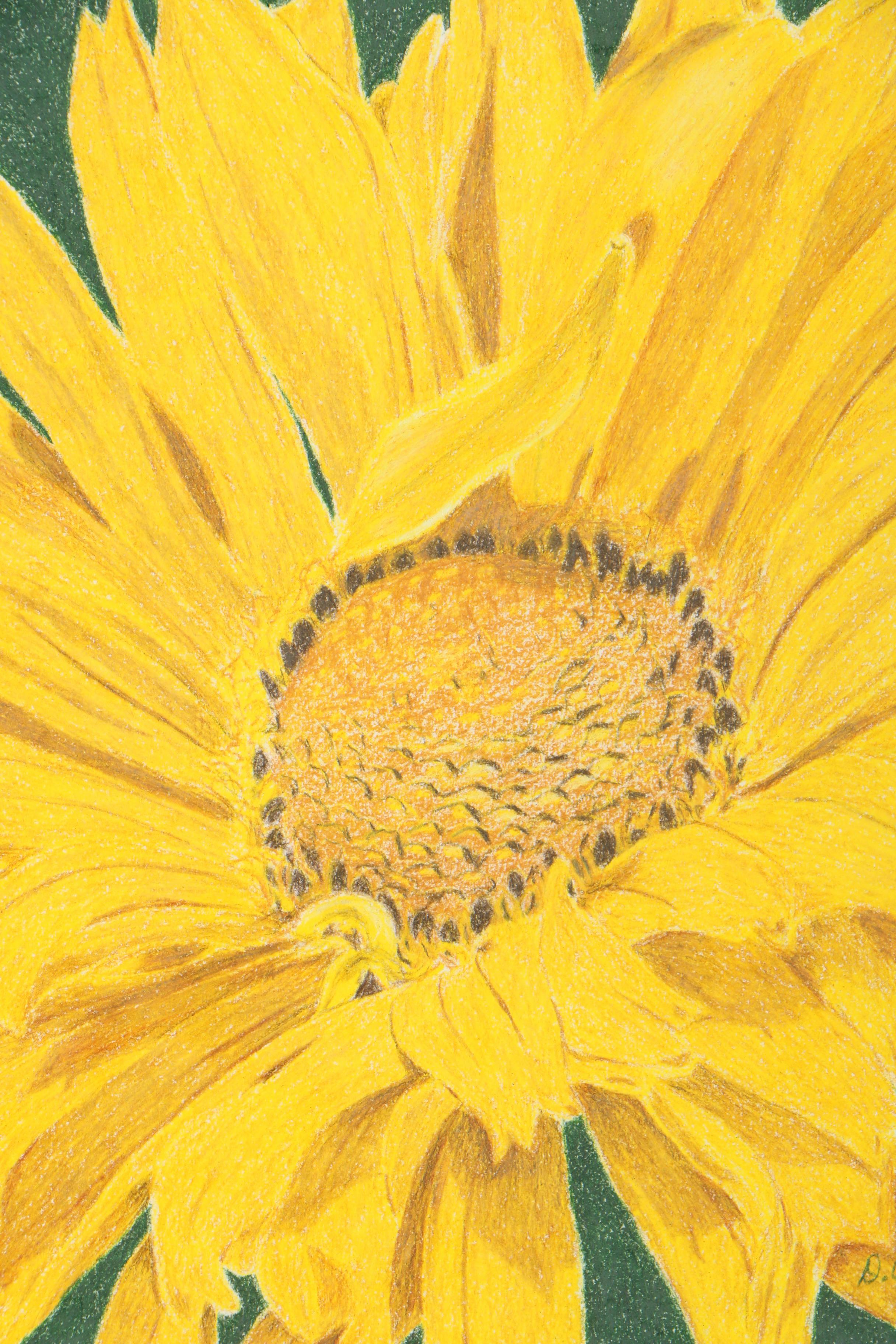 David Cochran Colored Pencil Drawings