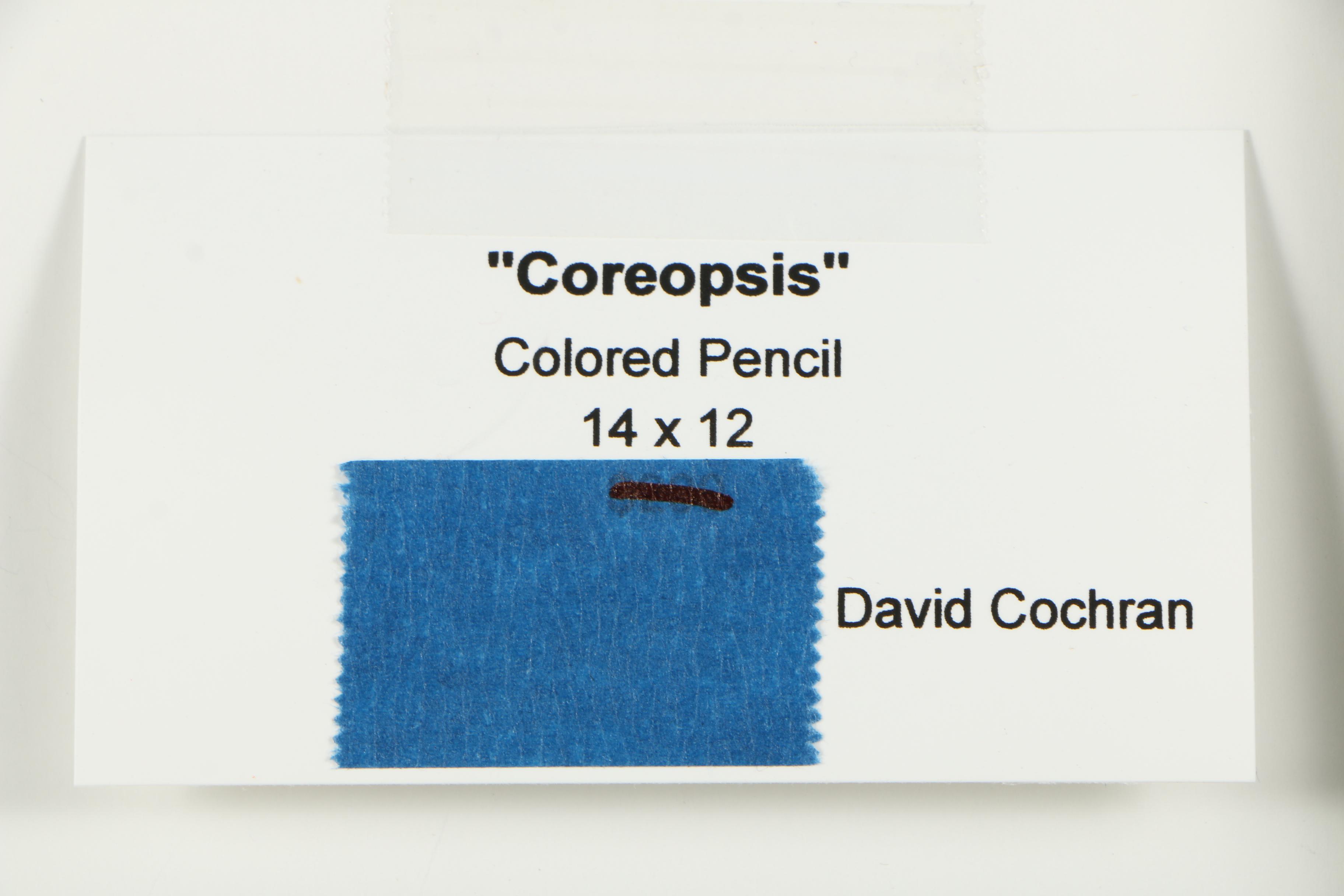 David Cochran Colored Pencil Drawings