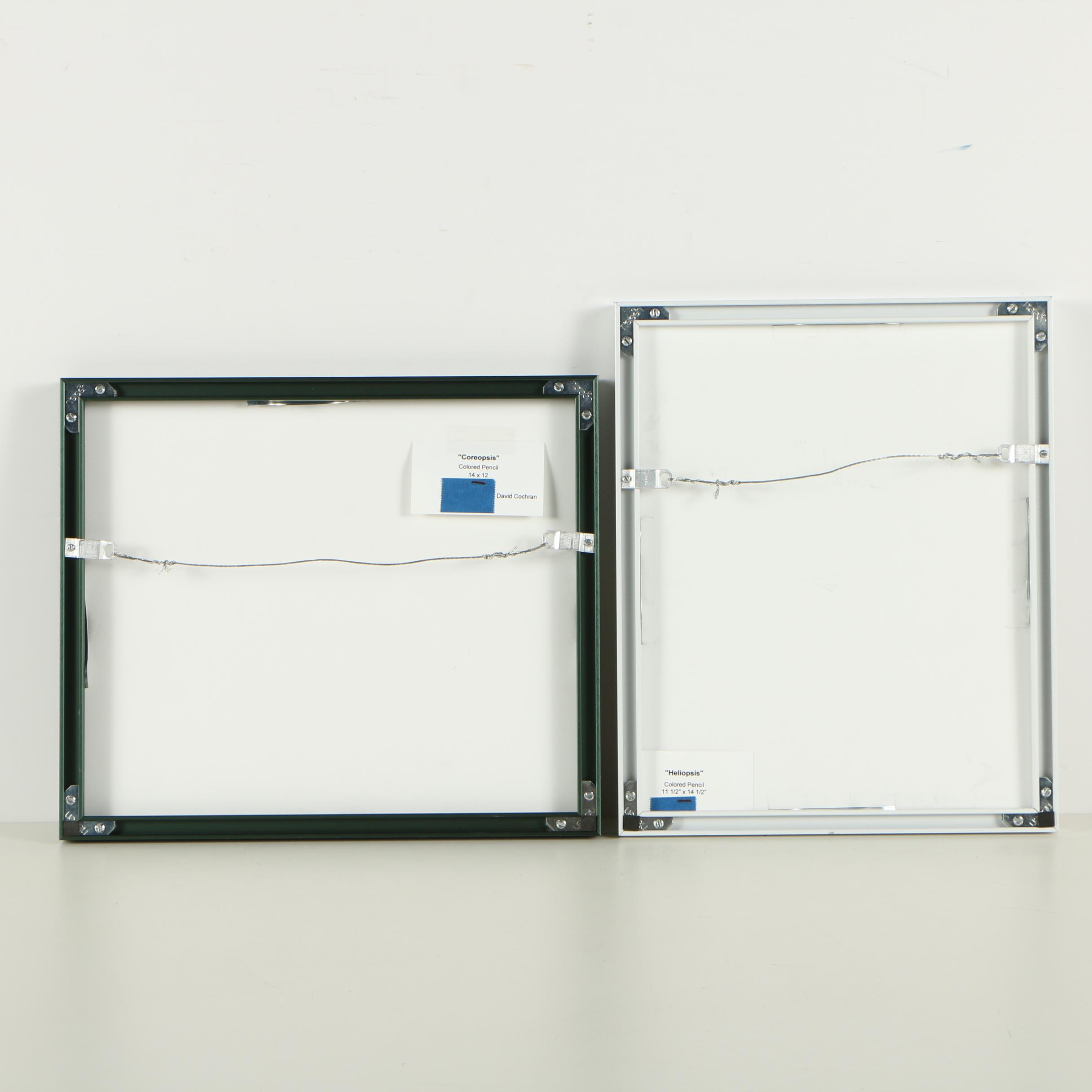 David Cochran Colored Pencil Drawings