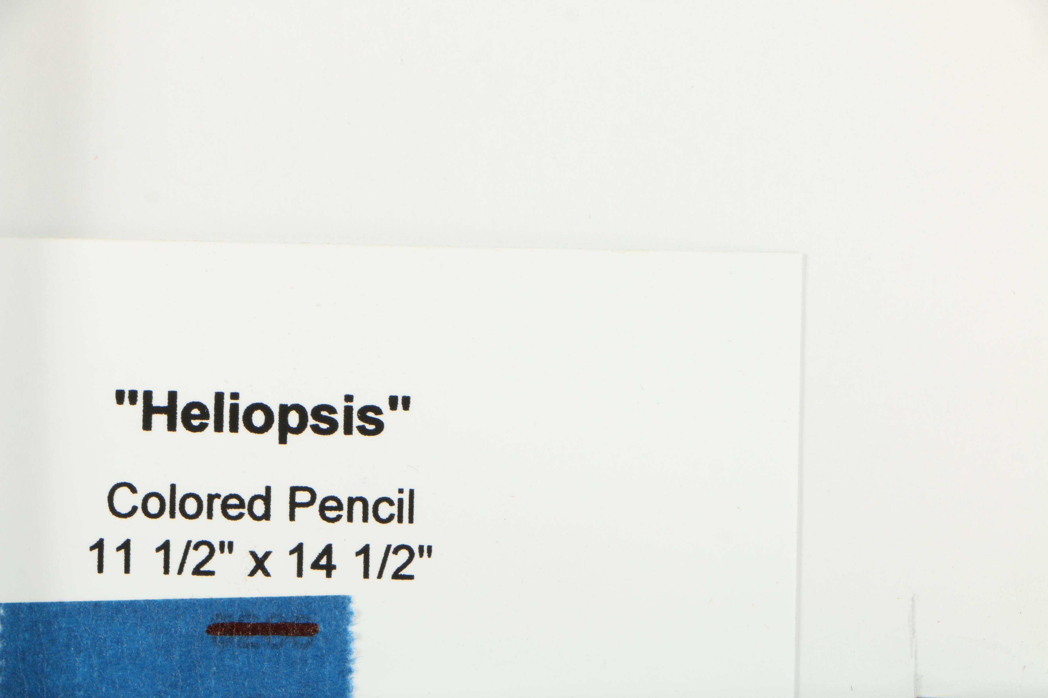 David Cochran Colored Pencil Drawings