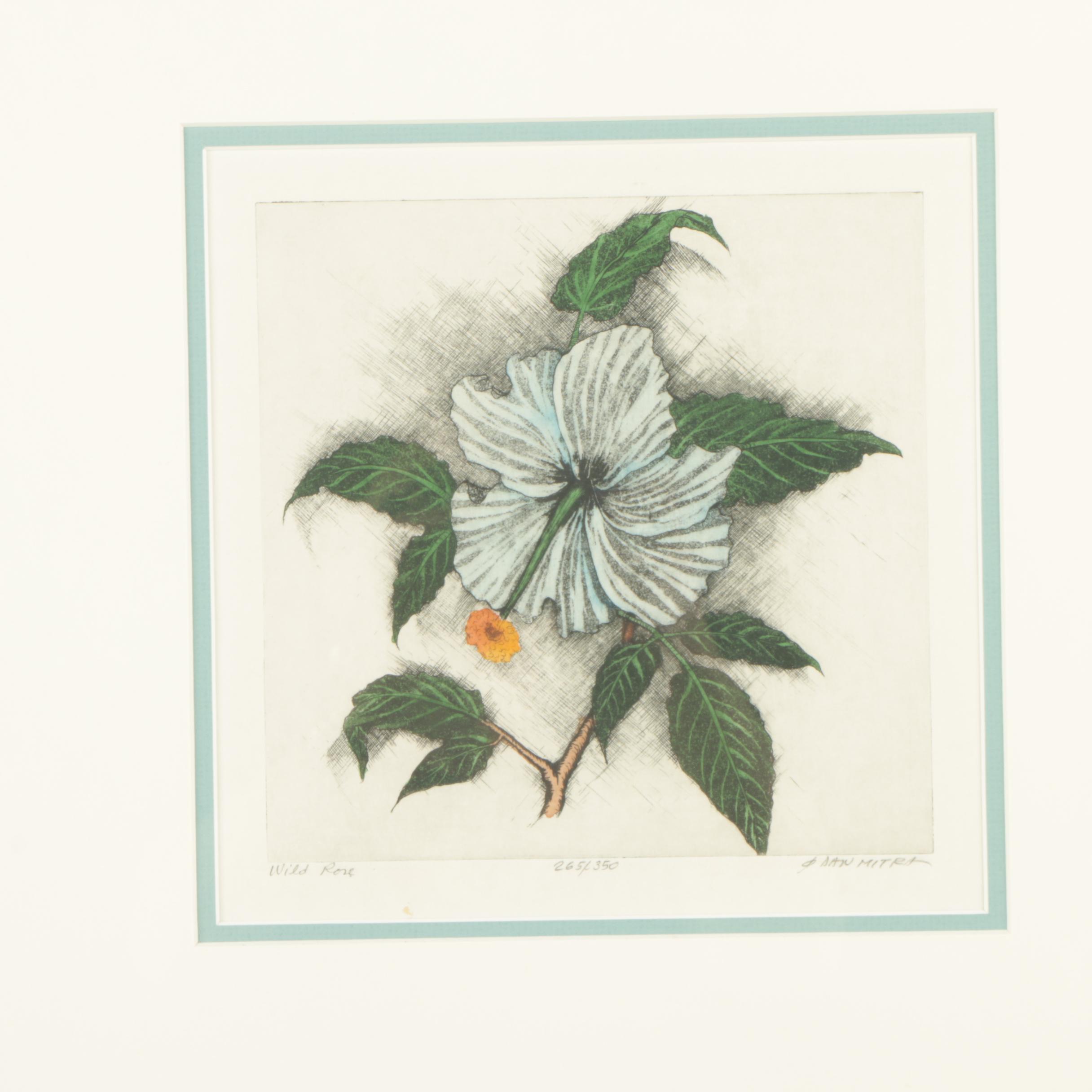 Dan Mitra Etching with Aquatint "Wild Rose"