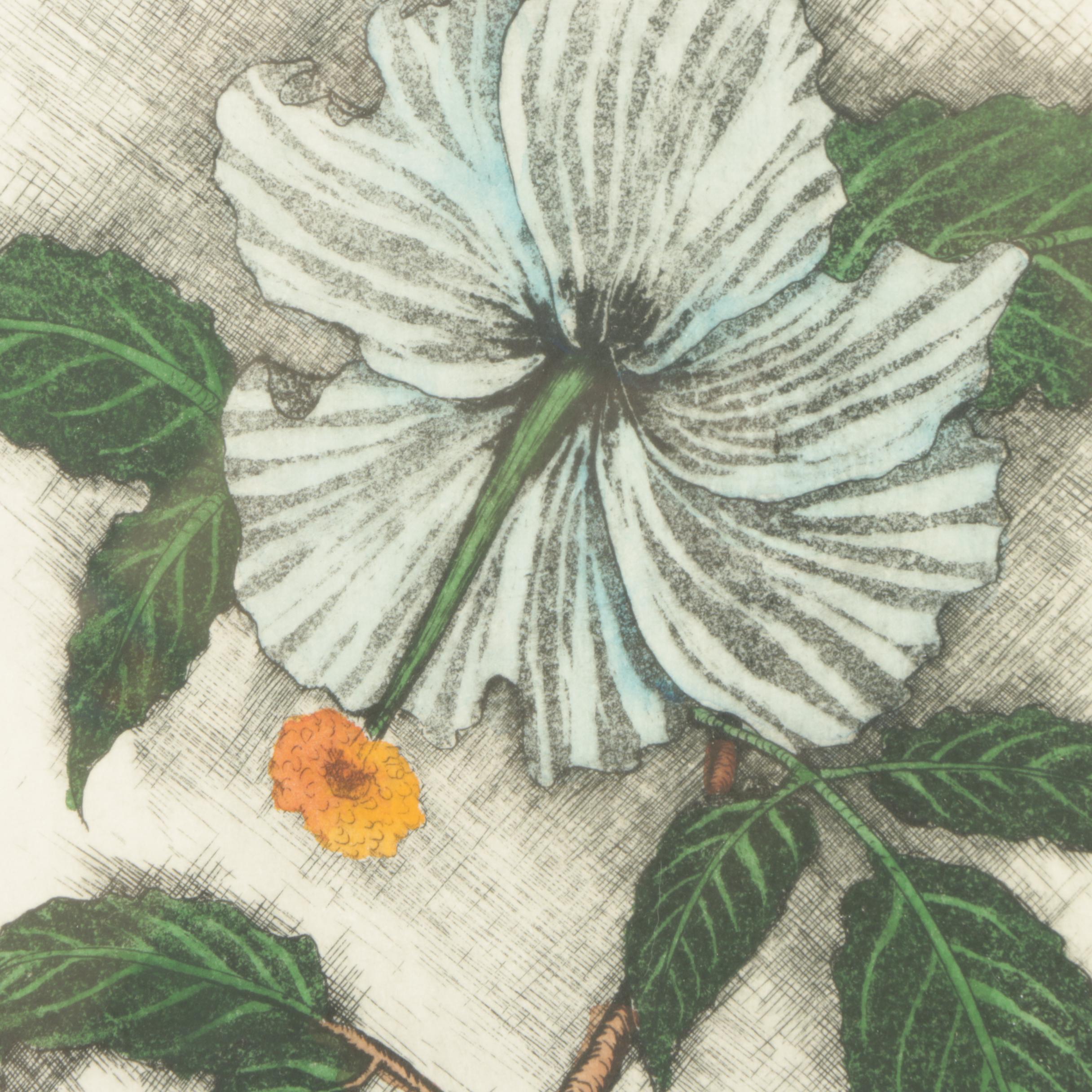 Dan Mitra Etching with Aquatint "Wild Rose"