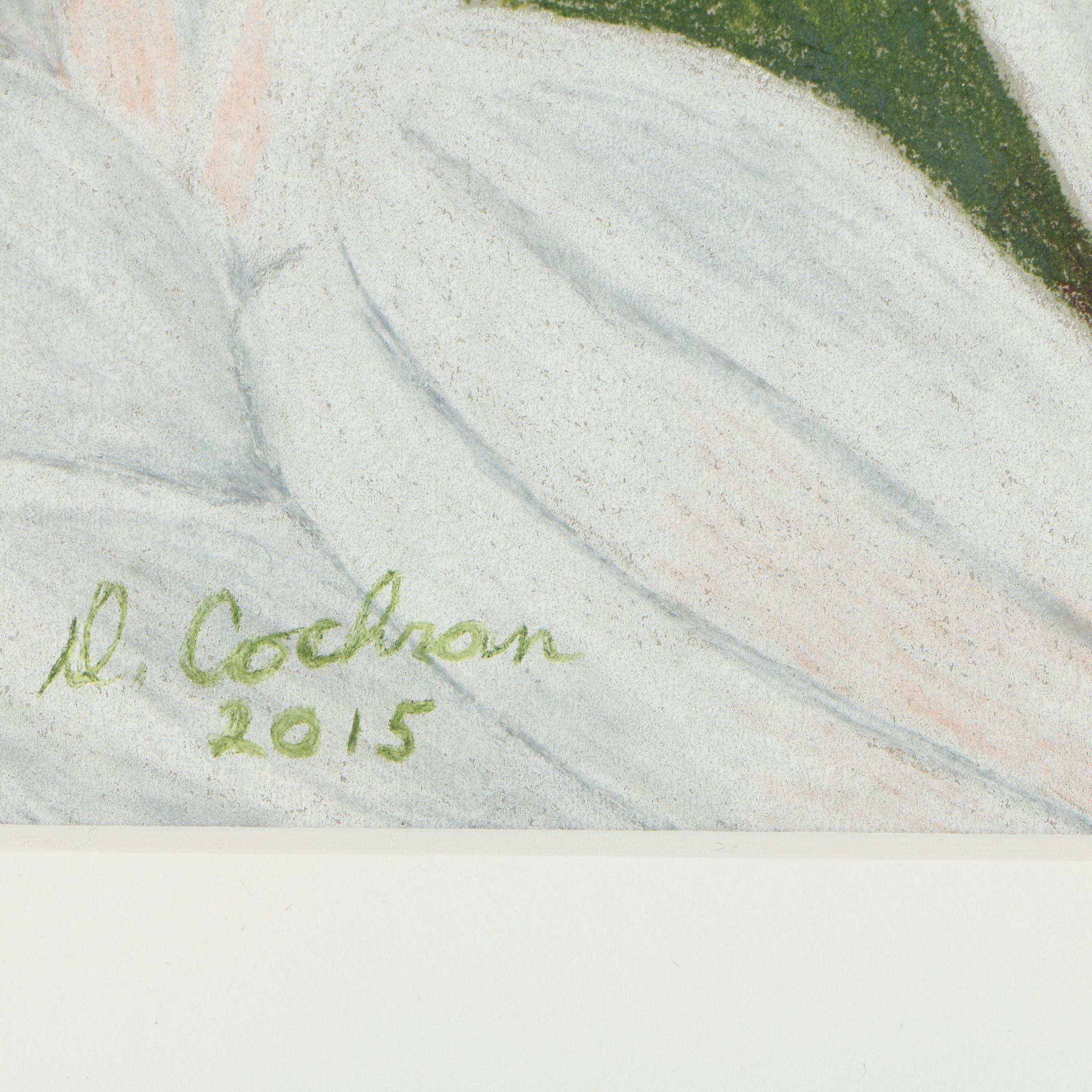 David Cochran Colored Pencil Drawings