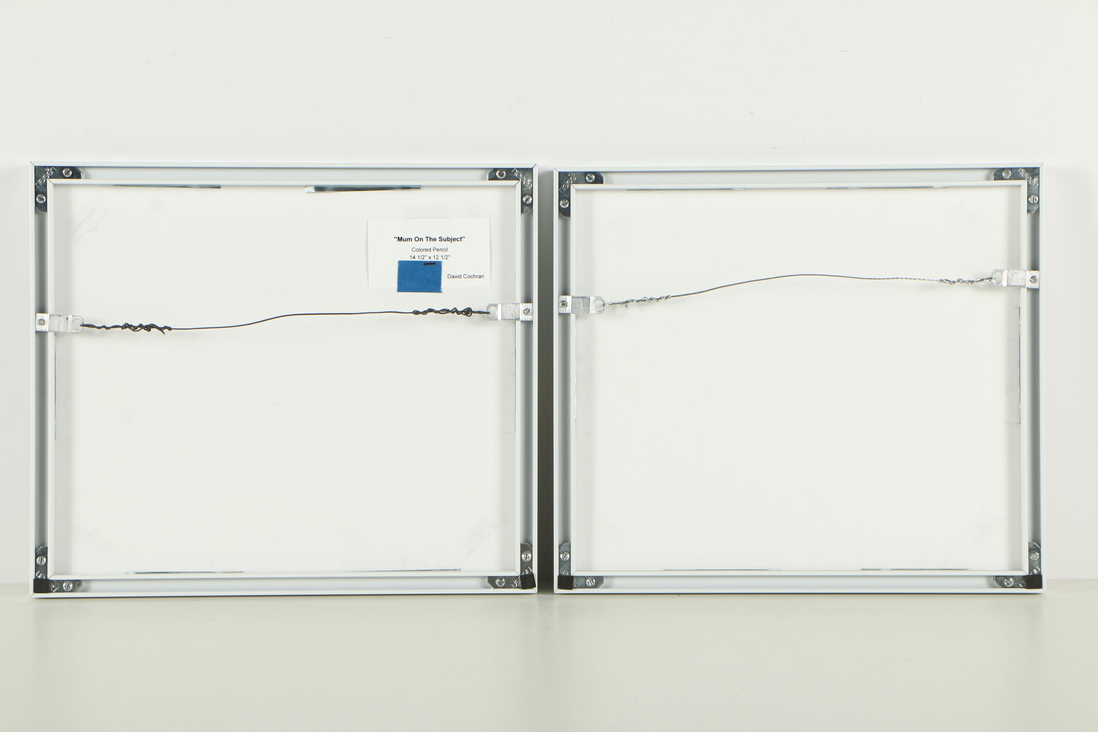 David Cochran Colored Pencil Drawings