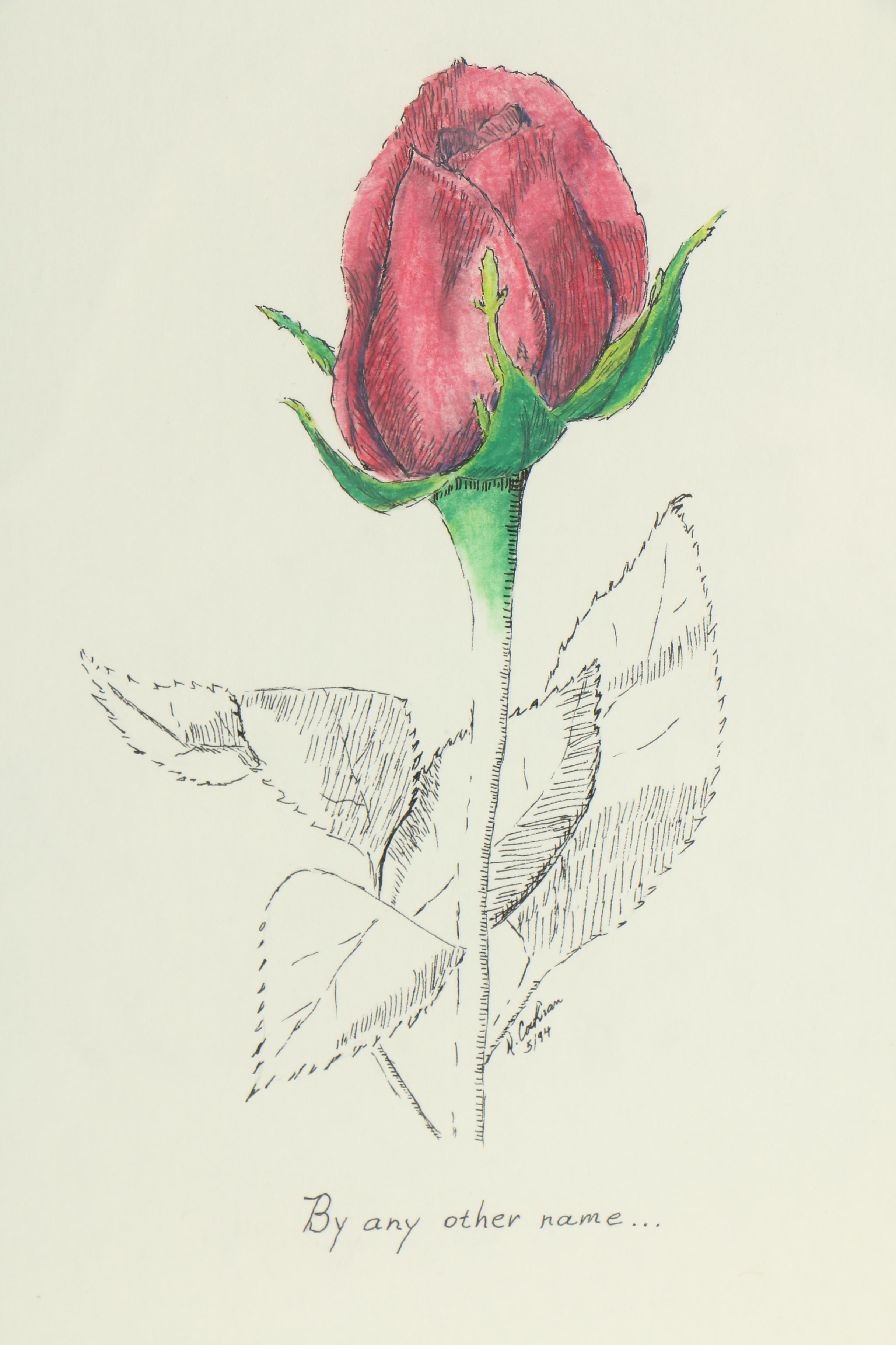 David Cochran Ink and Watercolor Painting "By Any Other Name"