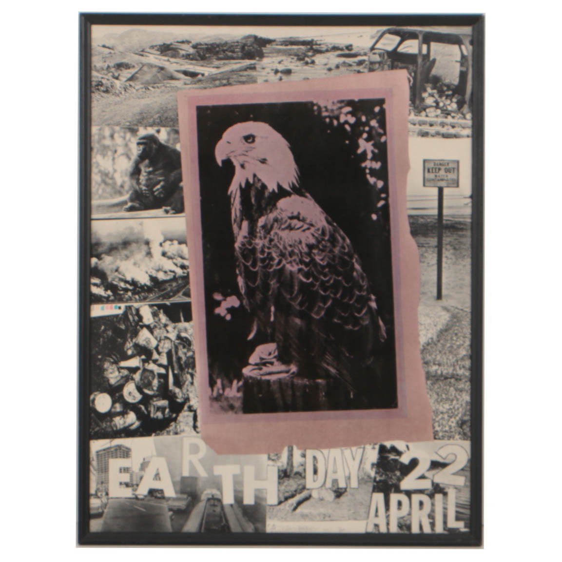 Robert Rauschenberg 1970 Offset Lithograph Poster for Earth Day