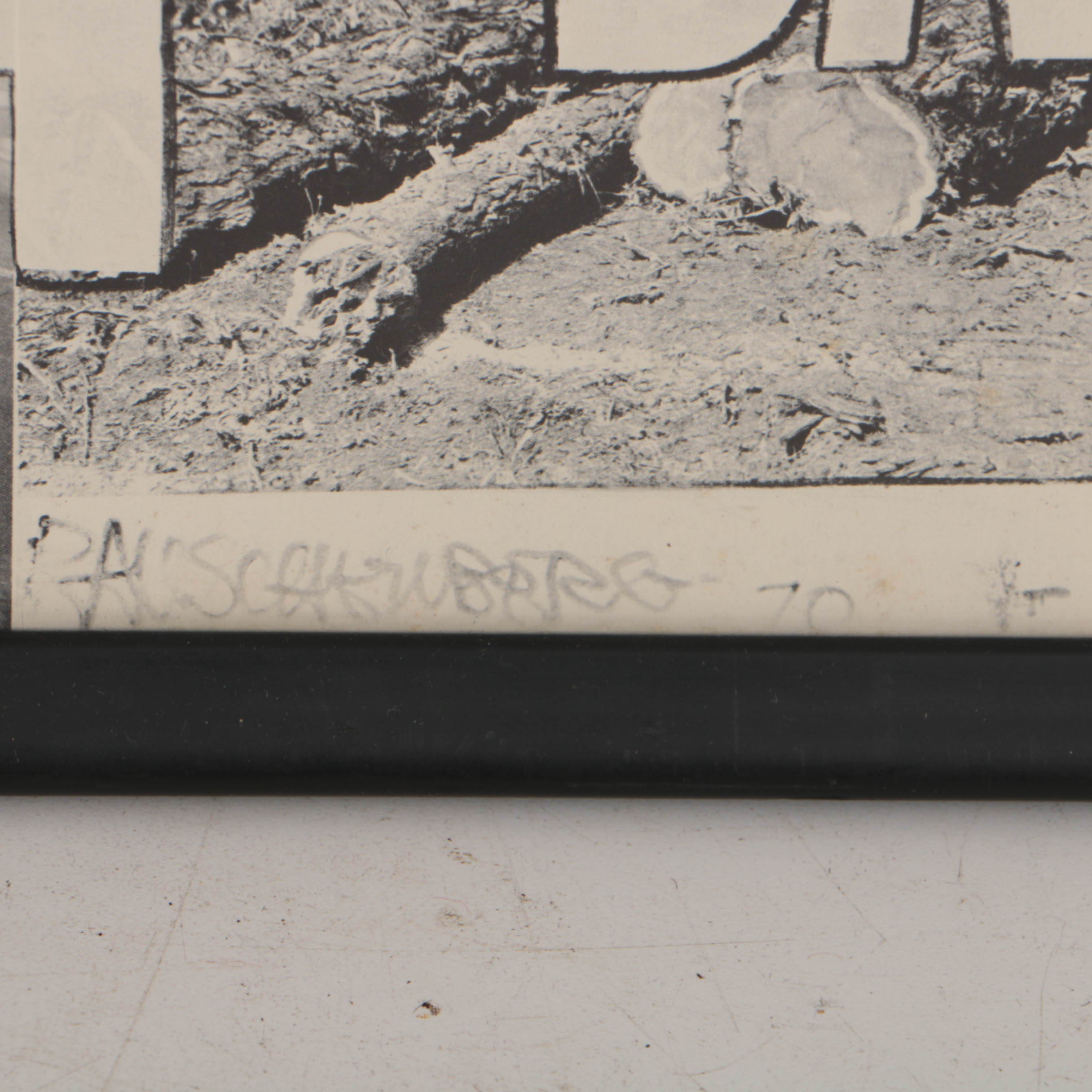 Robert Rauschenberg 1970 Offset Lithograph Poster for Earth Day