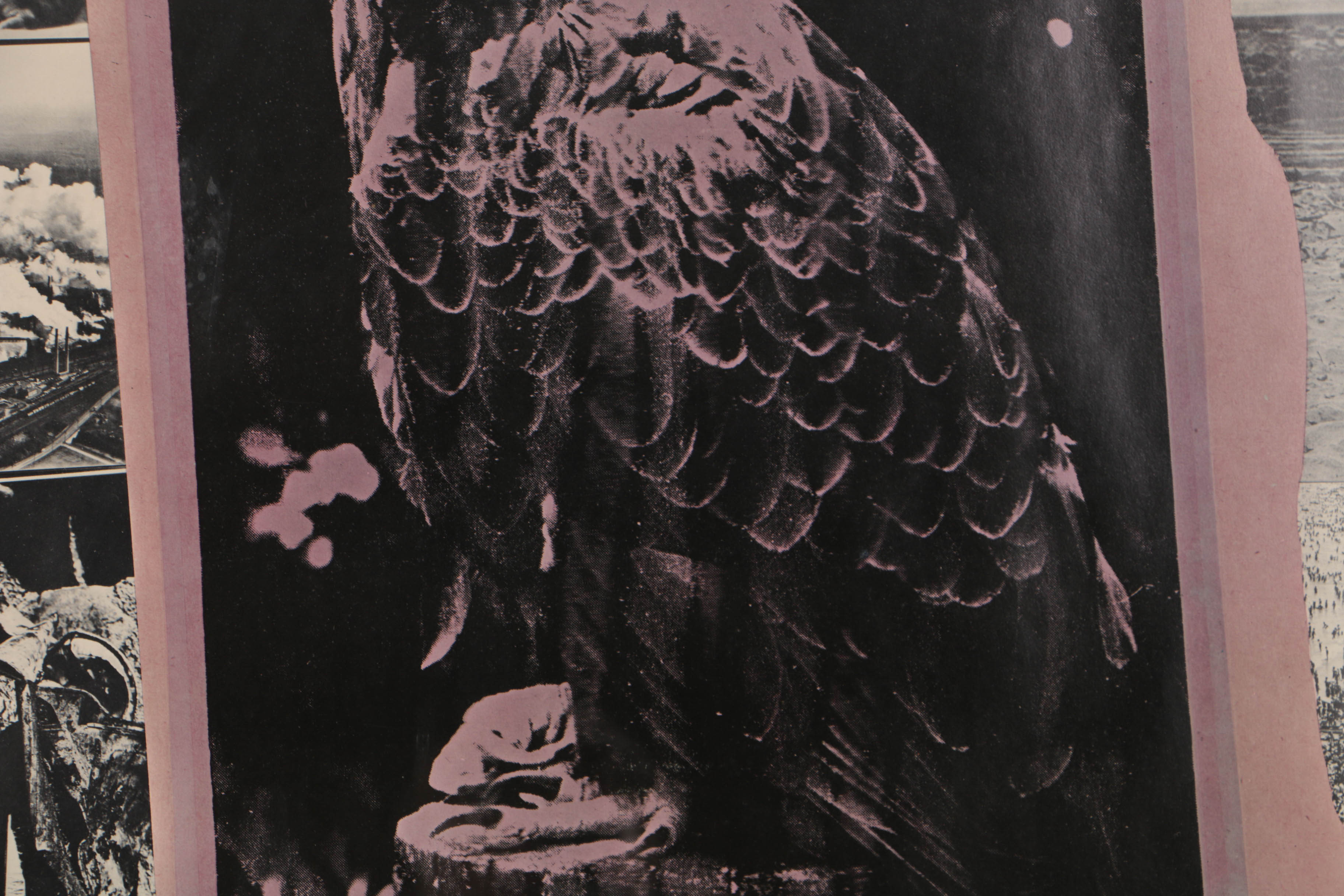 Robert Rauschenberg 1970 Offset Lithograph Poster for Earth Day