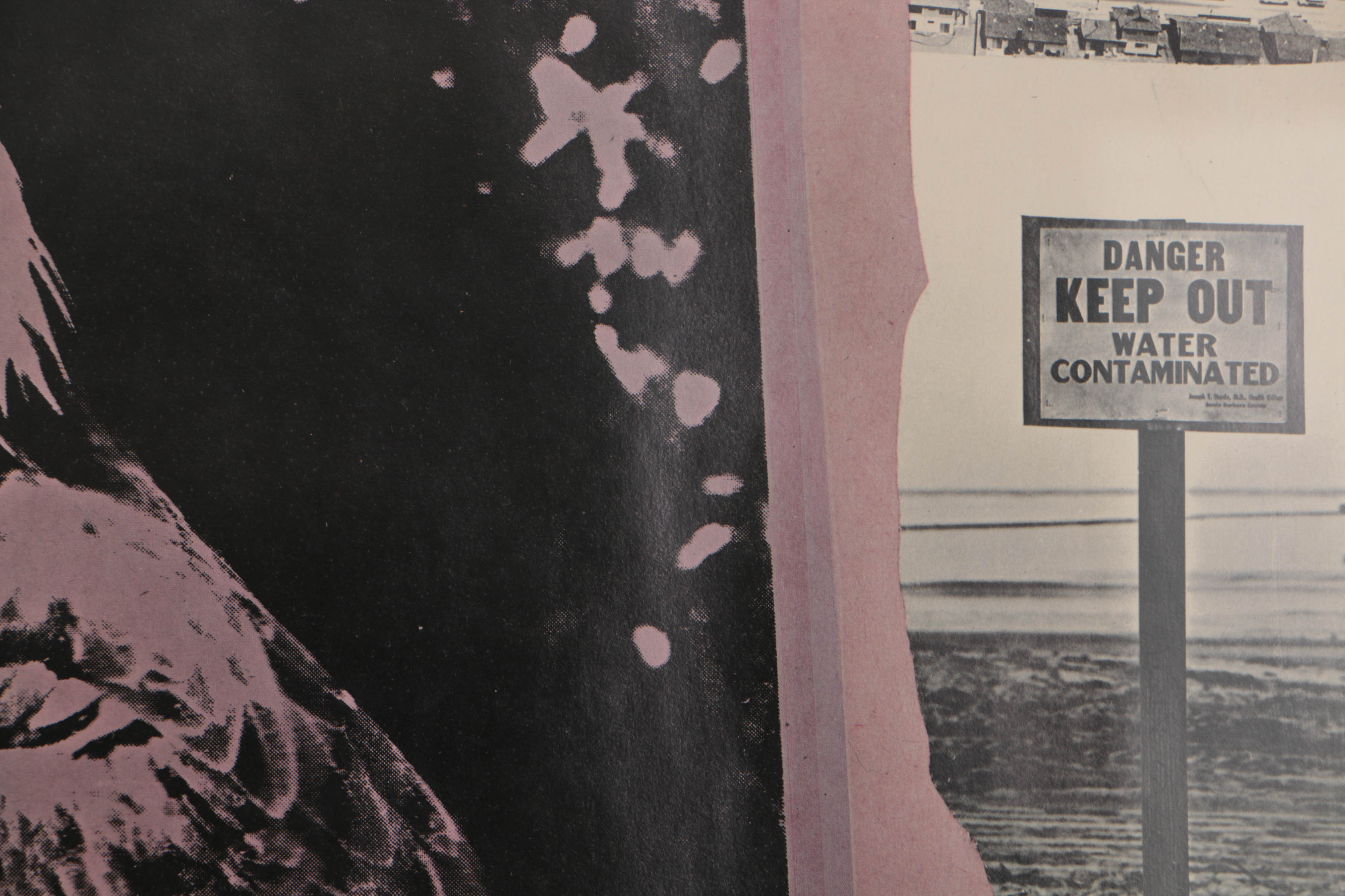 Robert Rauschenberg 1970 Offset Lithograph Poster for Earth Day