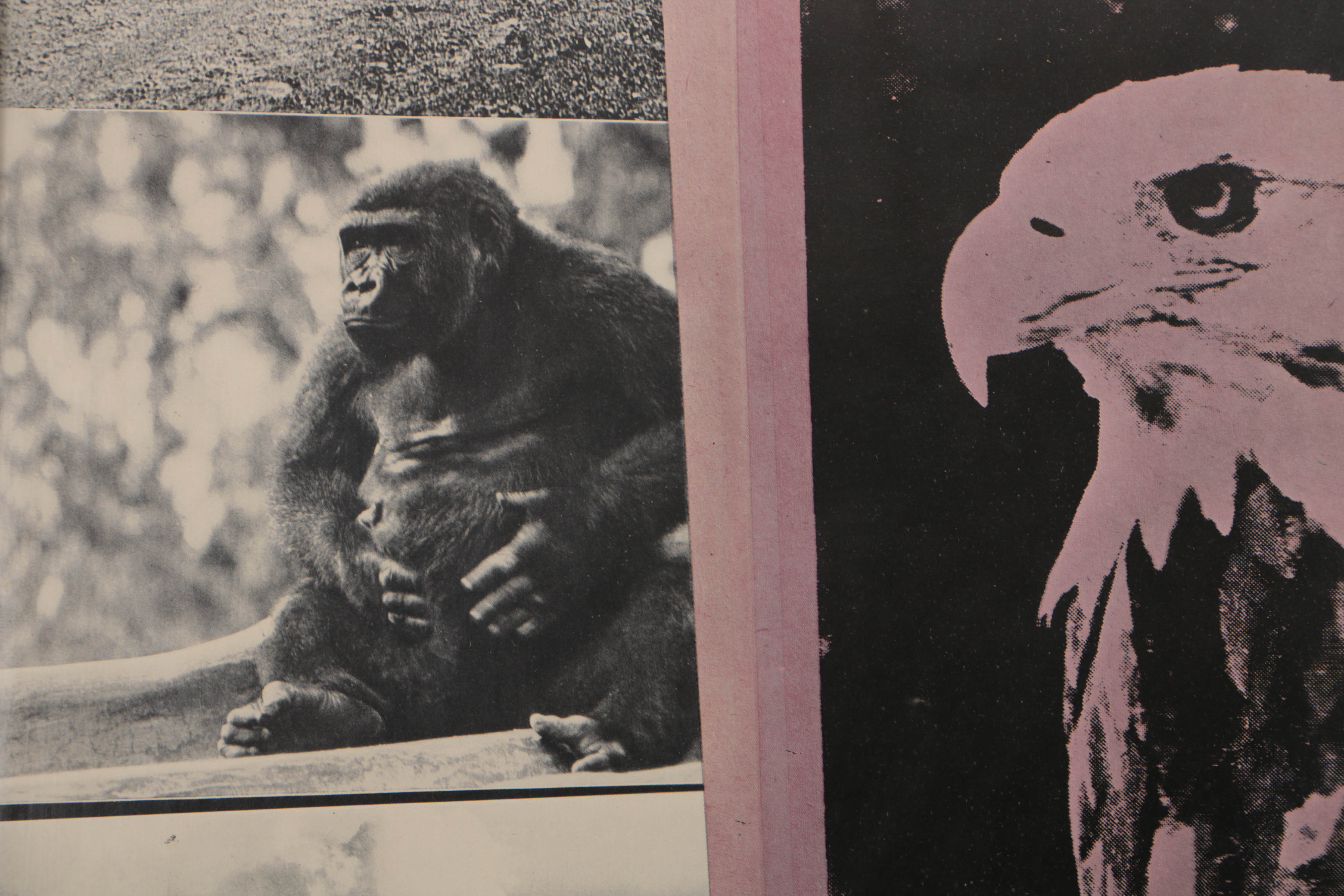 Robert Rauschenberg 1970 Offset Lithograph Poster for Earth Day