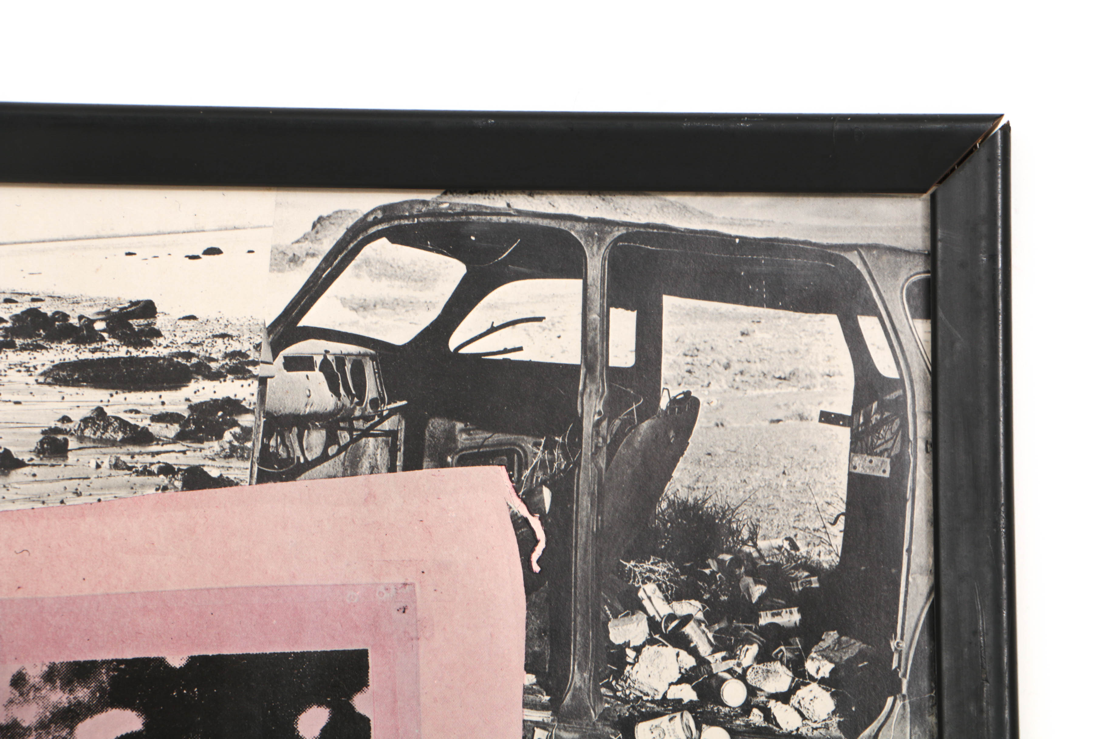 Robert Rauschenberg 1970 Offset Lithograph Poster for Earth Day