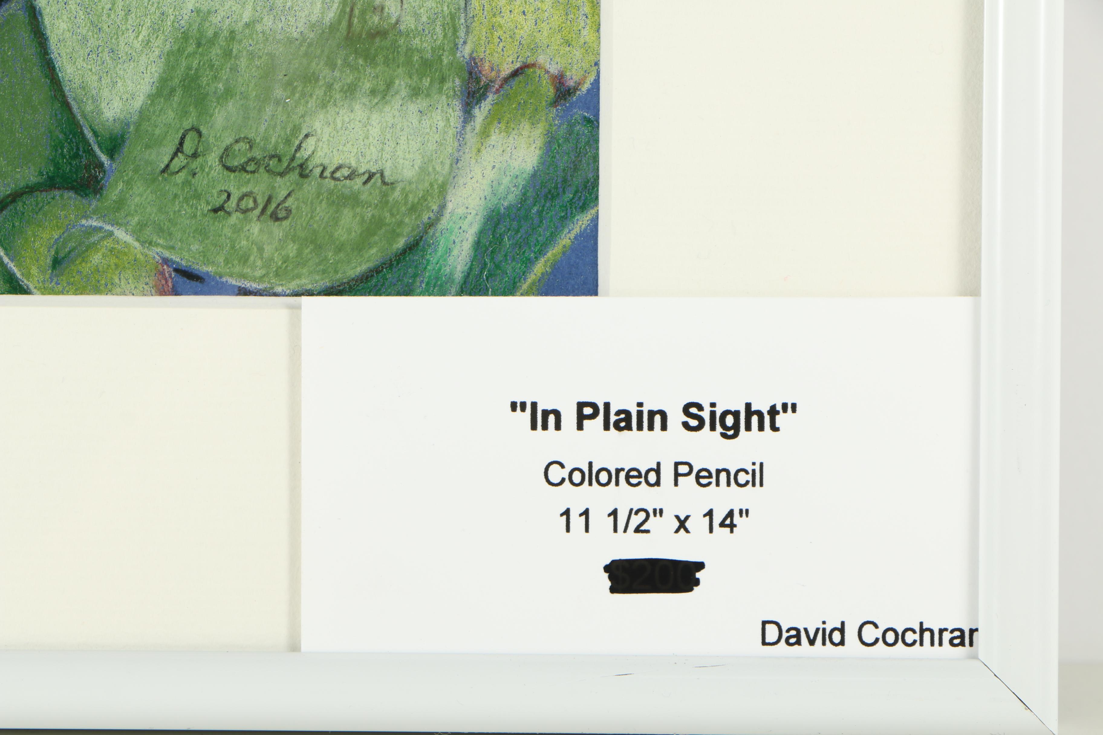 David Cochran Colored Pencil Drawing "In Plain Sight"