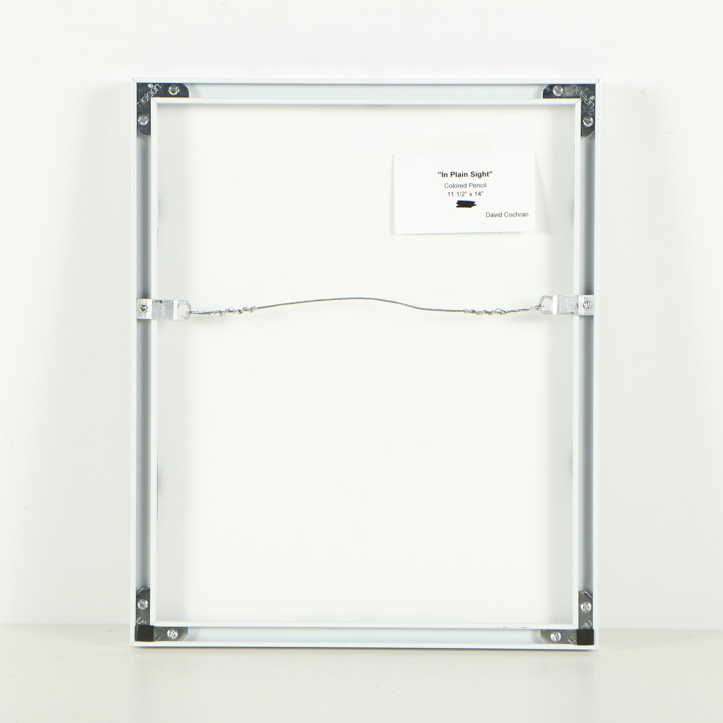 David Cochran Colored Pencil Drawing "In Plain Sight"