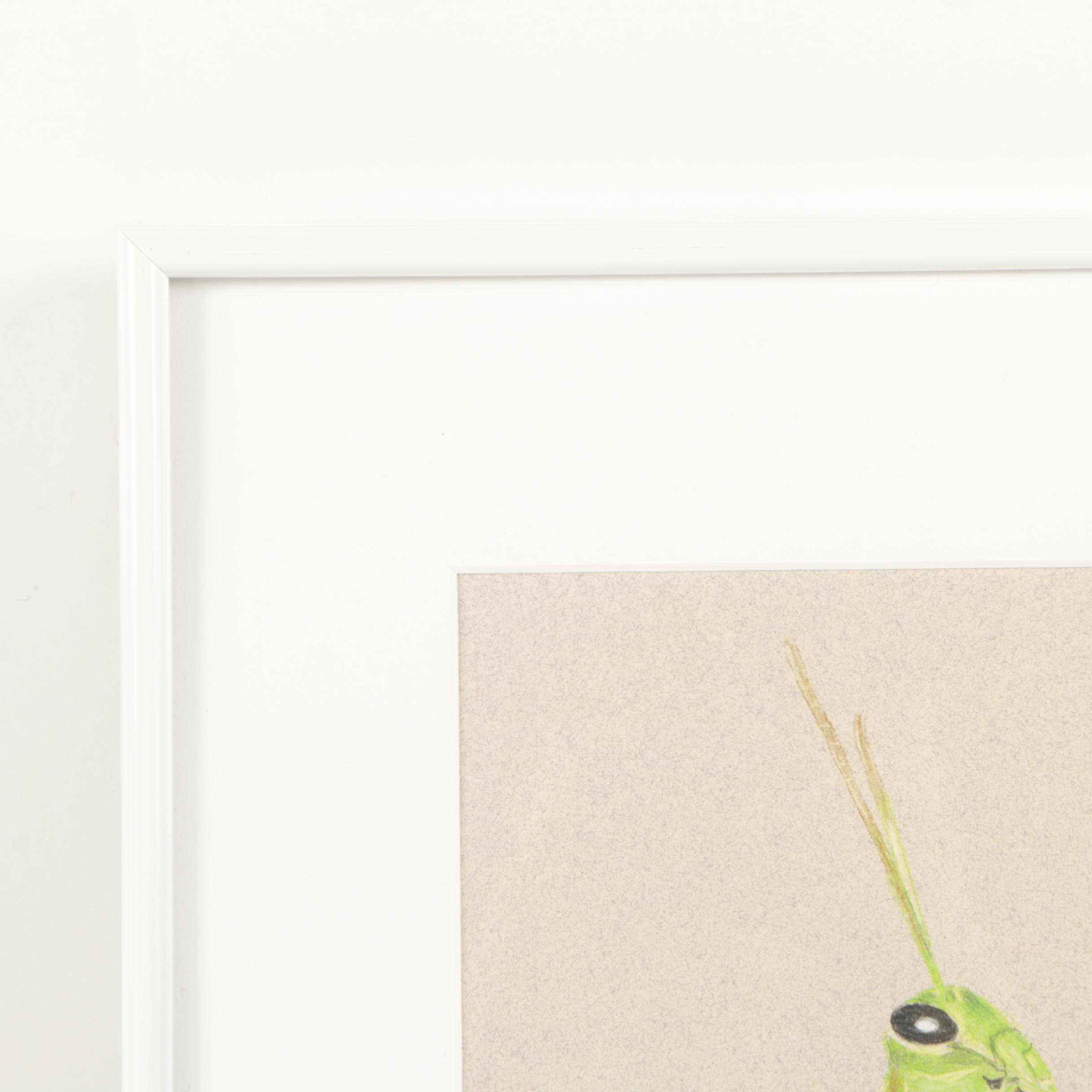 David Cochran Colored Pencil Drawing "Hopper"