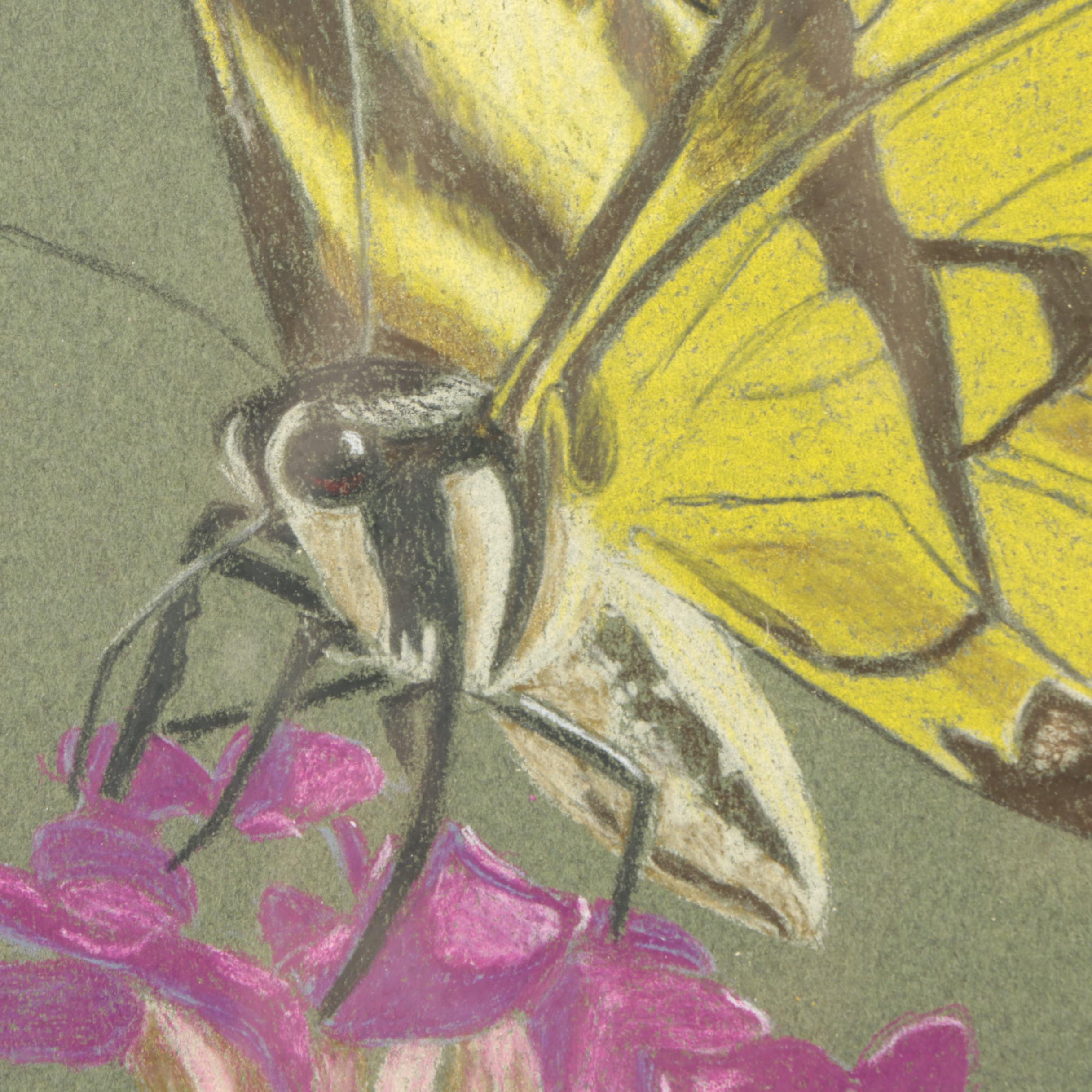 David Cochran 2014 and 2015 Colored Pencil Drawings