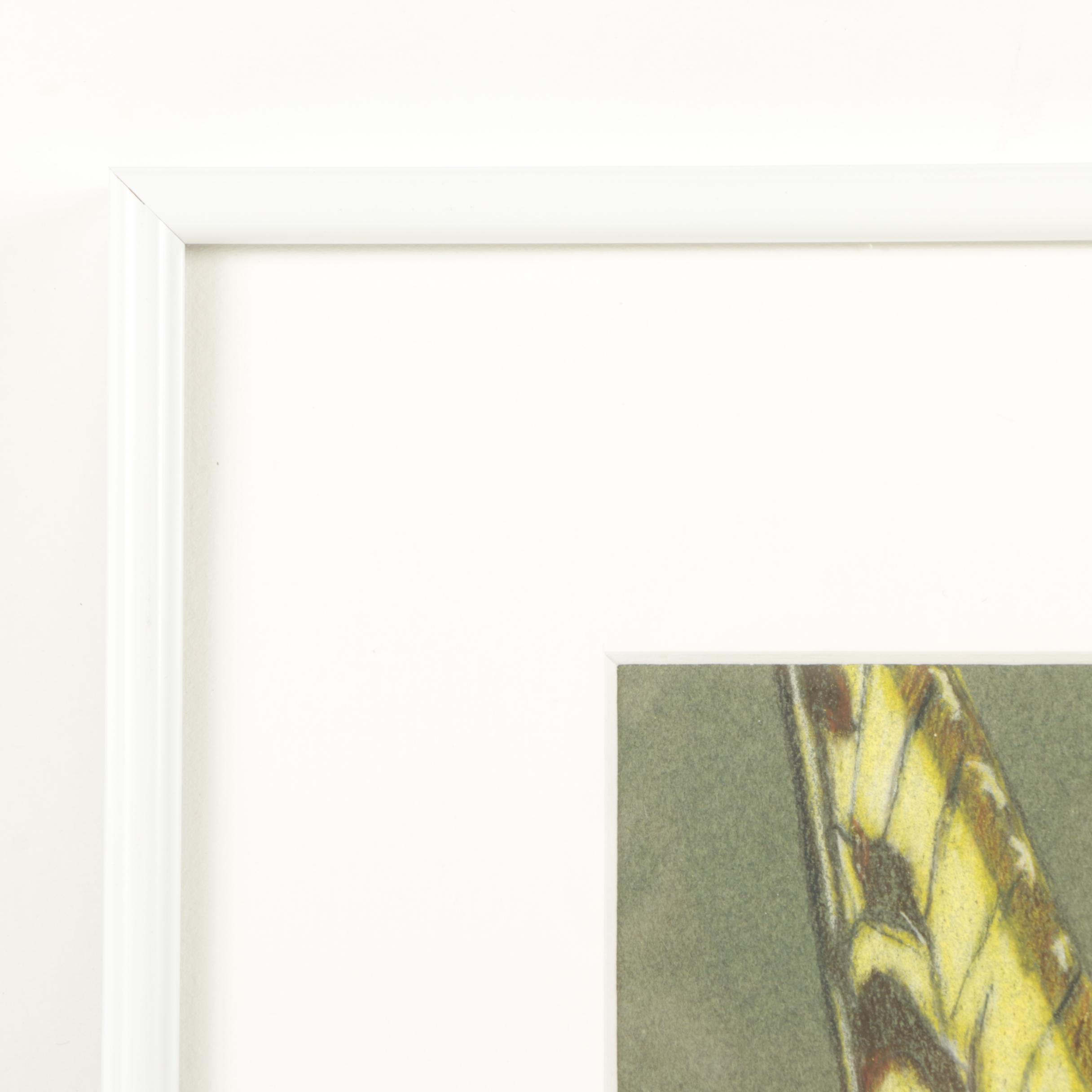 David Cochran 2014 and 2015 Colored Pencil Drawings