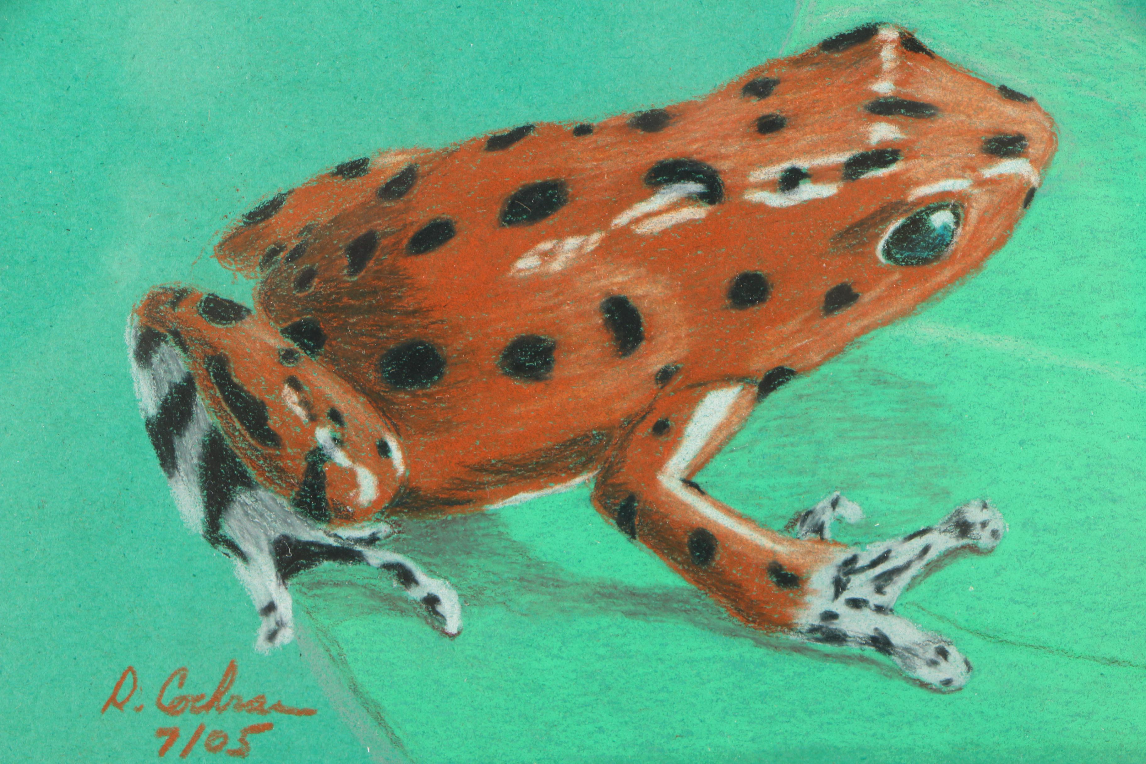 David Cochran Colored Pencil Drawings "Frog Tree Series #1/#2/#3"