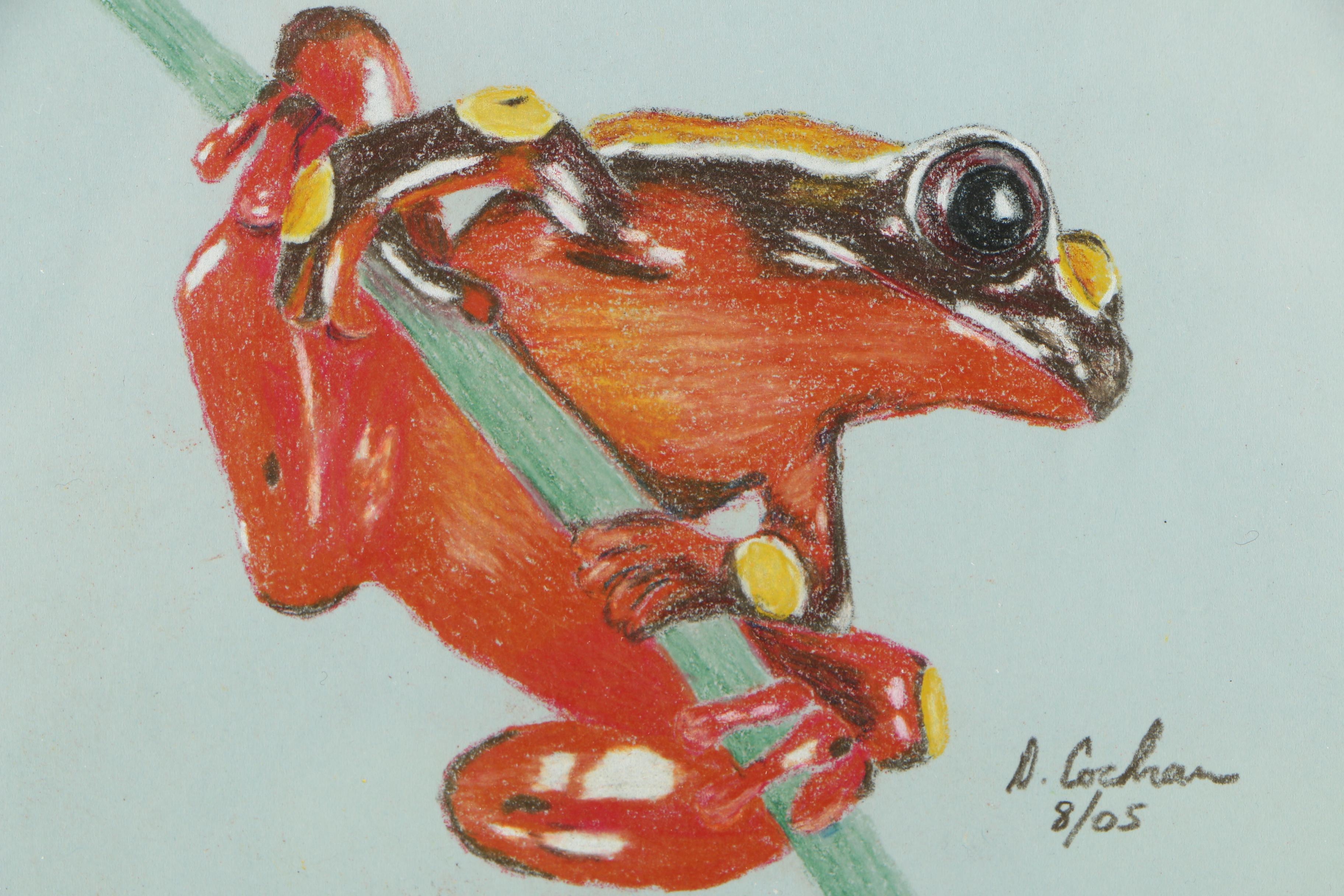 David Cochran Colored Pencil Drawings "Frog Tree Series #1/#2/#3"