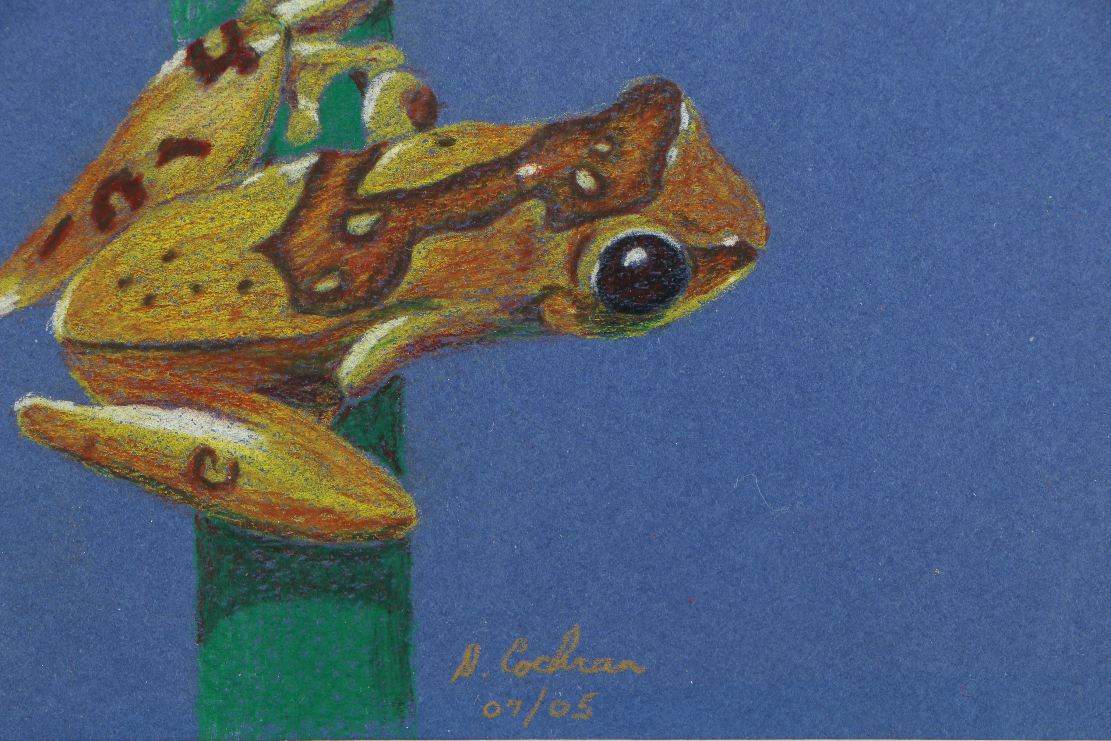 David Cochran Colored Pencil Drawings "Frog Tree Series #1/#2/#3"