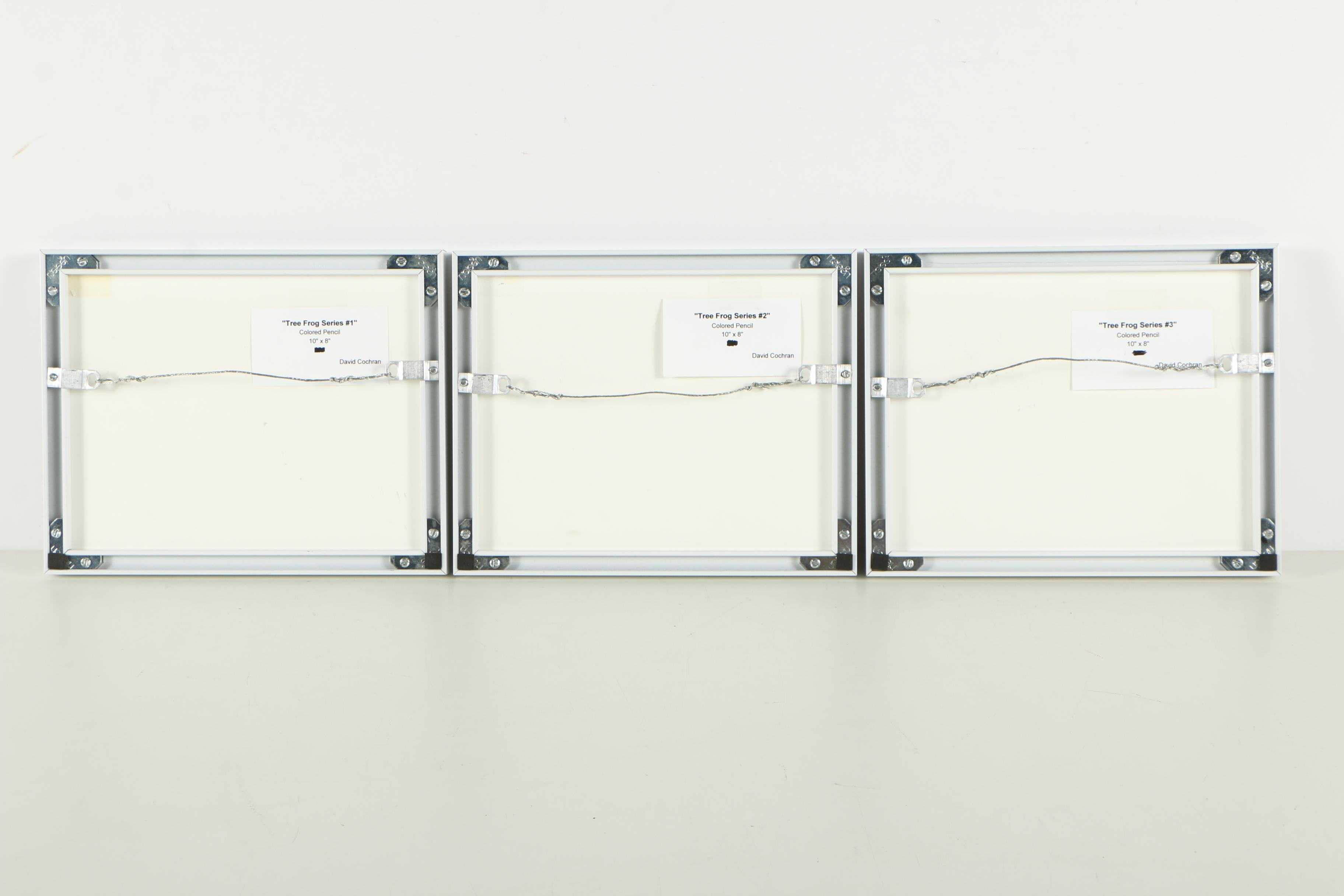 David Cochran Colored Pencil Drawings "Frog Tree Series #1/#2/#3"