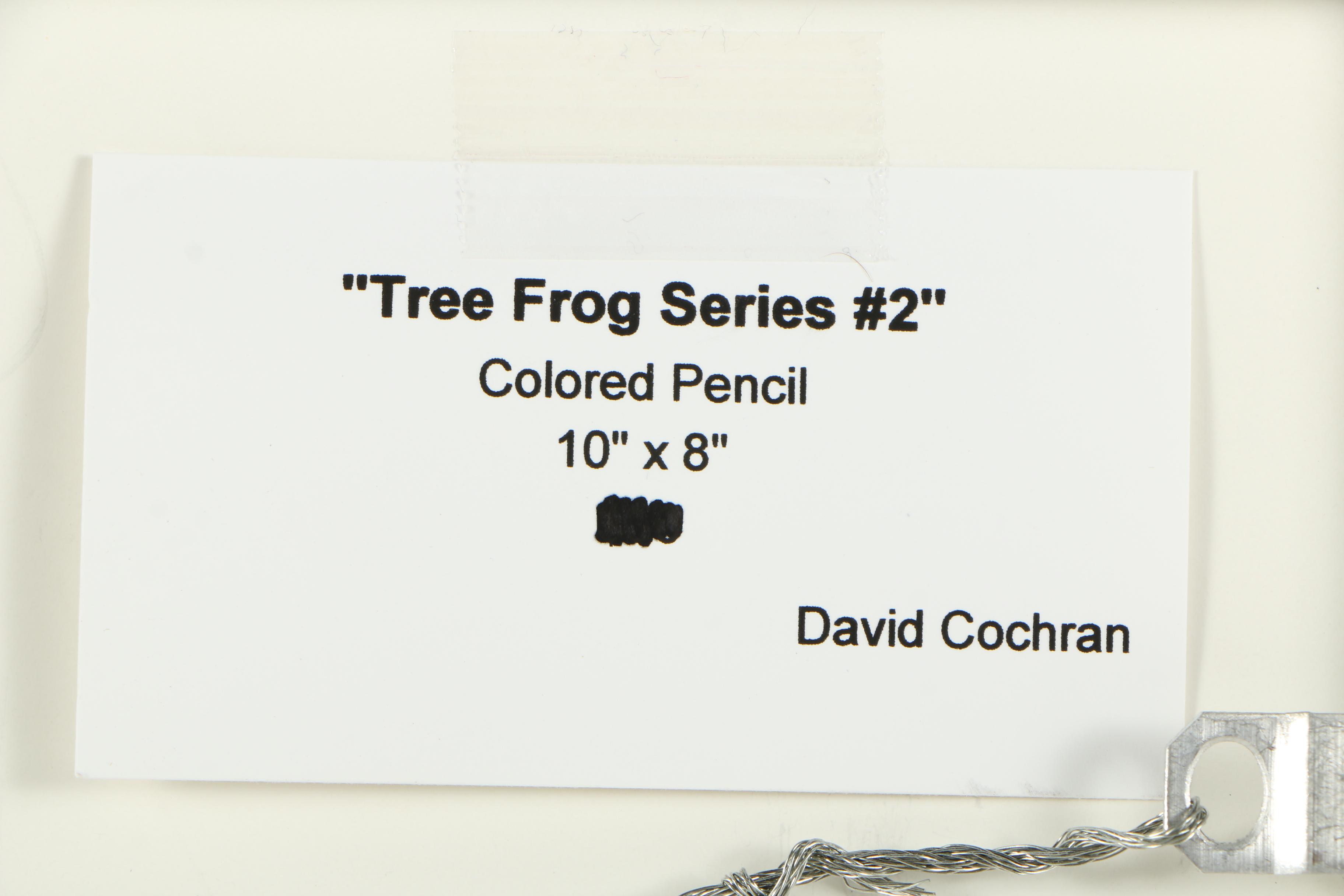 David Cochran Colored Pencil Drawings "Frog Tree Series #1/#2/#3"