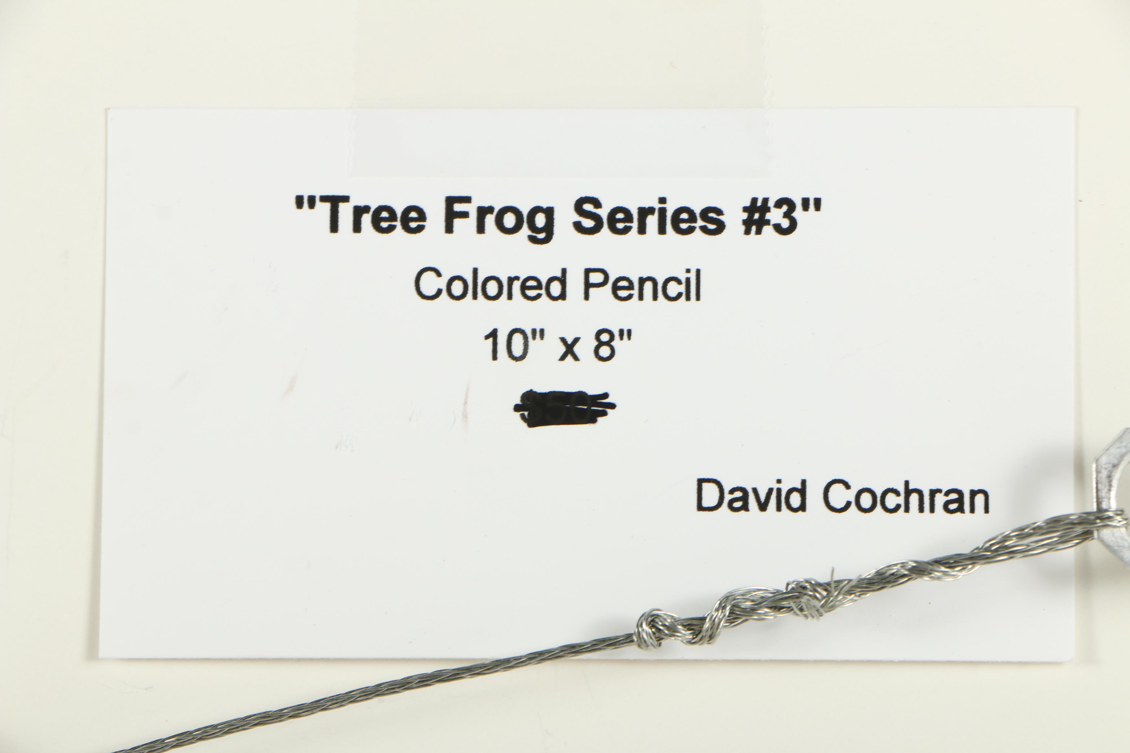 David Cochran Colored Pencil Drawings "Frog Tree Series #1/#2/#3"
