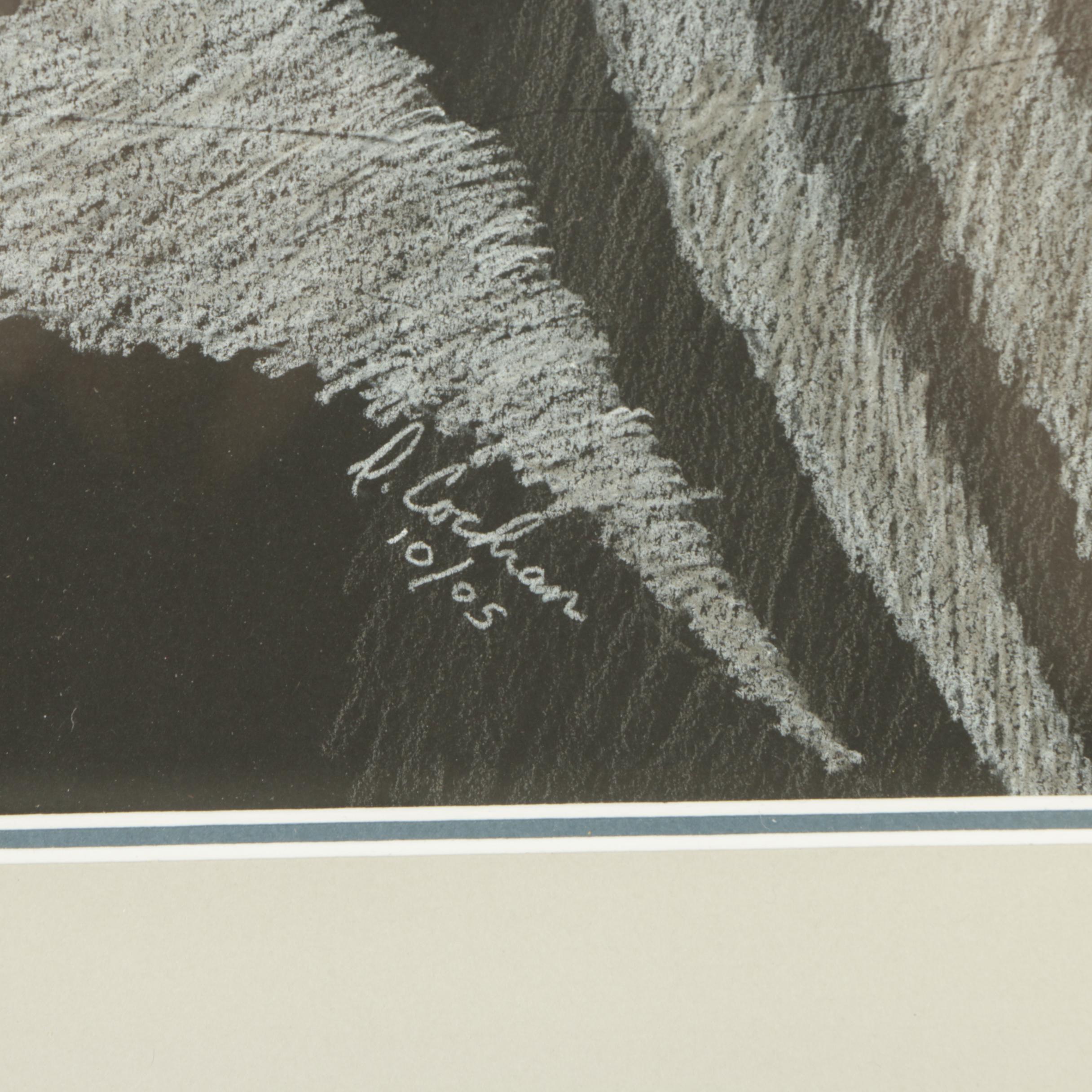 David Cochran 2005 Colored Pencil Drawing