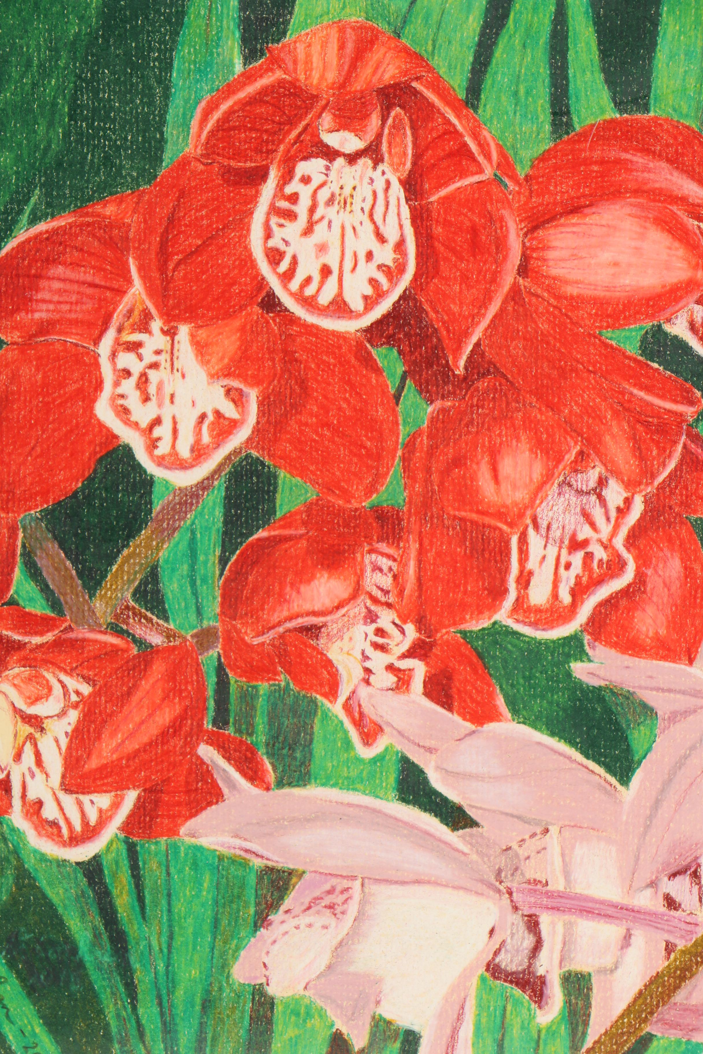 David Cochran Colored Pencil Drawing