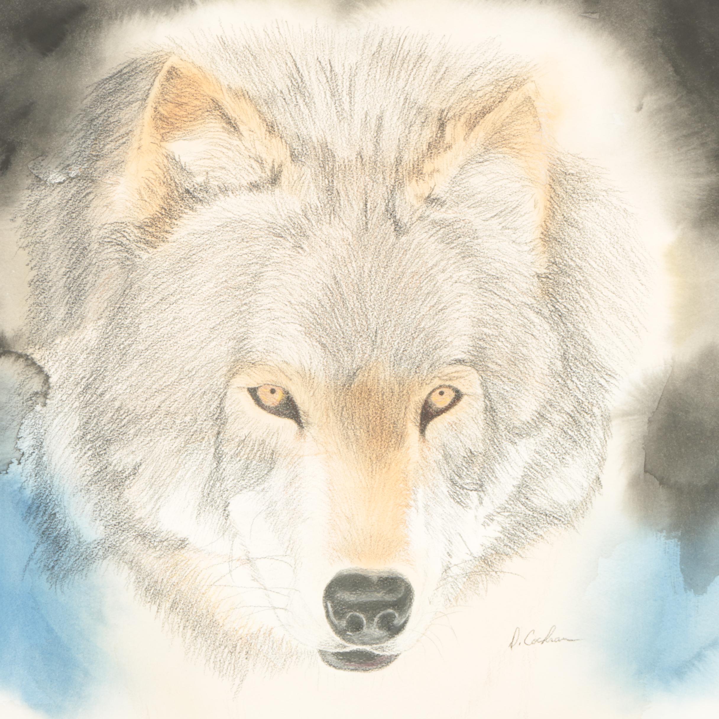 David Cochran Late 20th to Early 21st Century Mixed Media Drawing