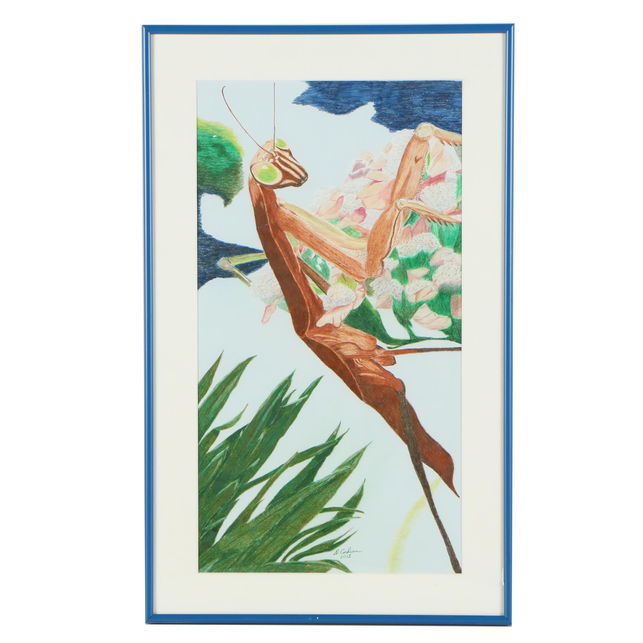 David Cochran Colored Pencil Drawing "The Hunter"