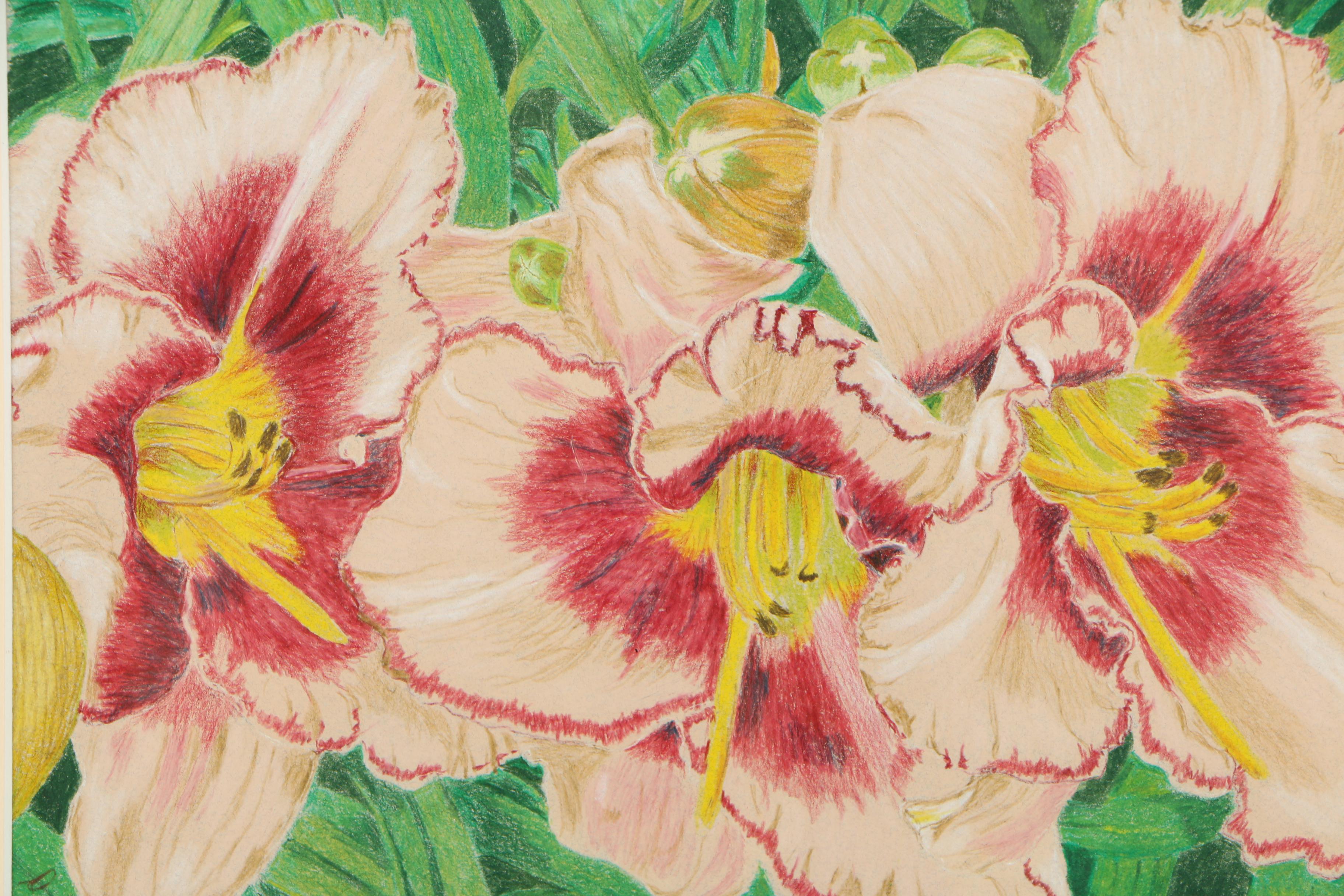 David Cochran Colored Pencil Drawings "Rudbeckia Hirta" and "Stephanie Returns"